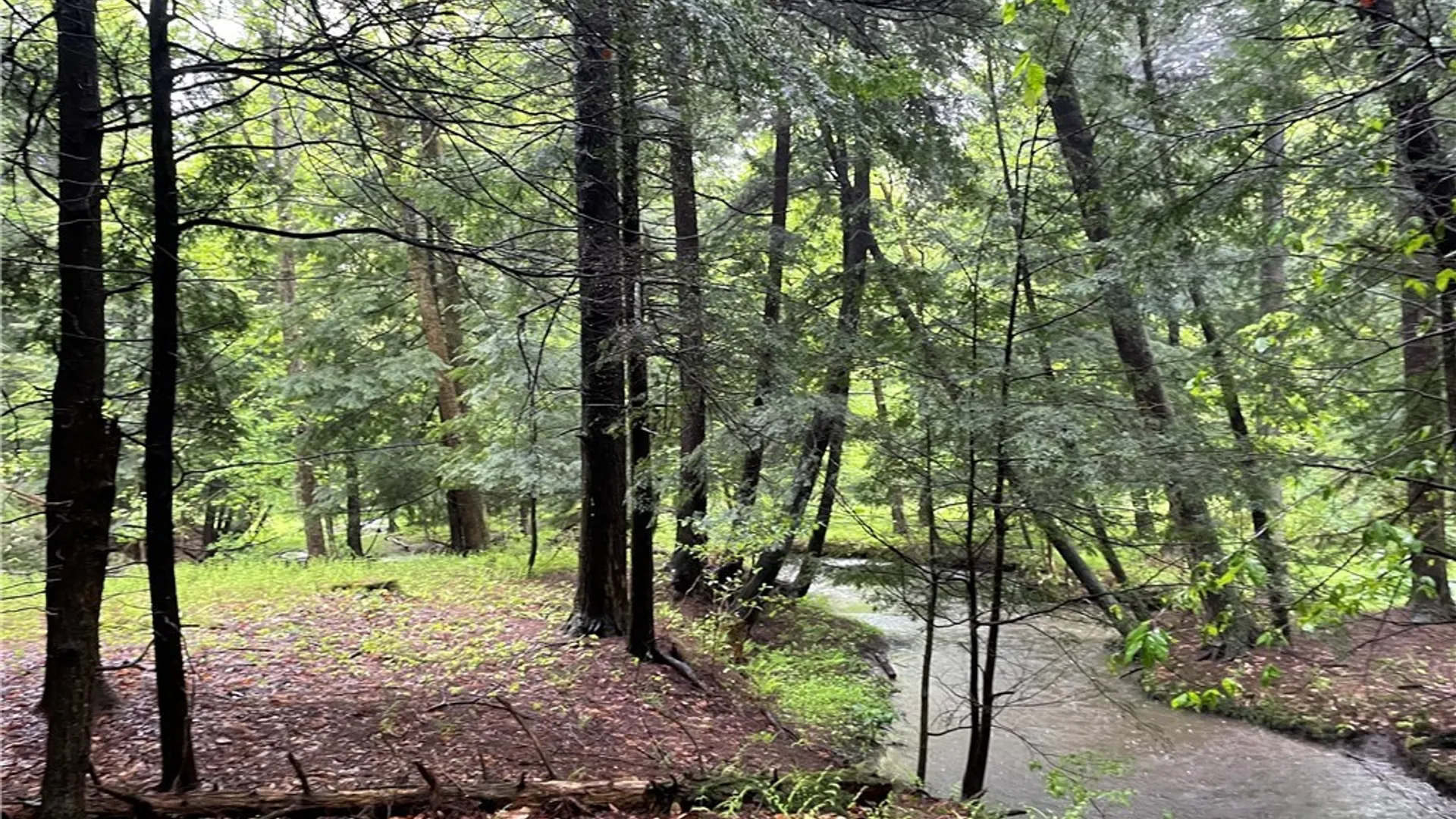 Property at 0 Walker Road, Ellery, NY 14712 6