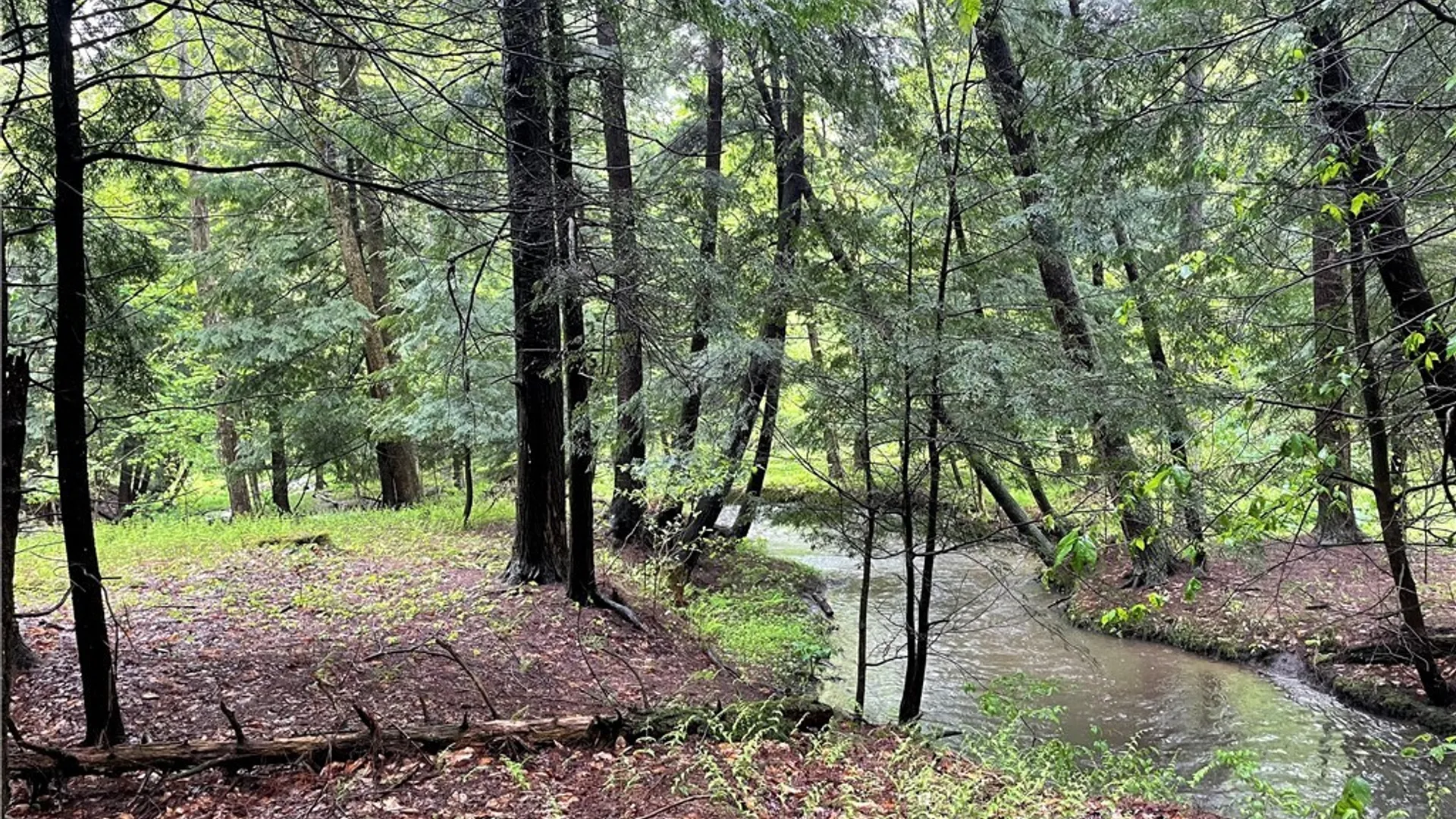 Property at 0 Walker Road, Ellery, NY 14712 7