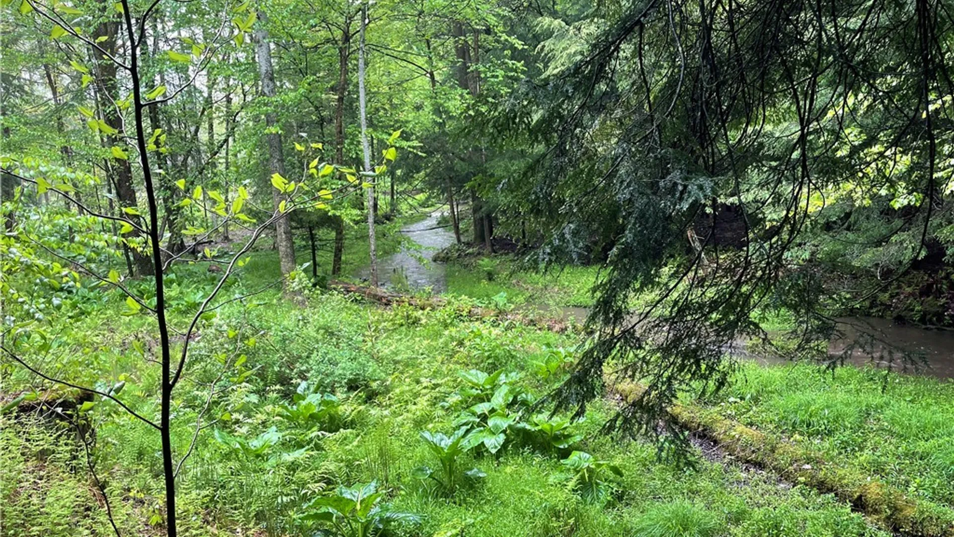 Property at 0 Walker Road, Ellery, NY 14712 8
