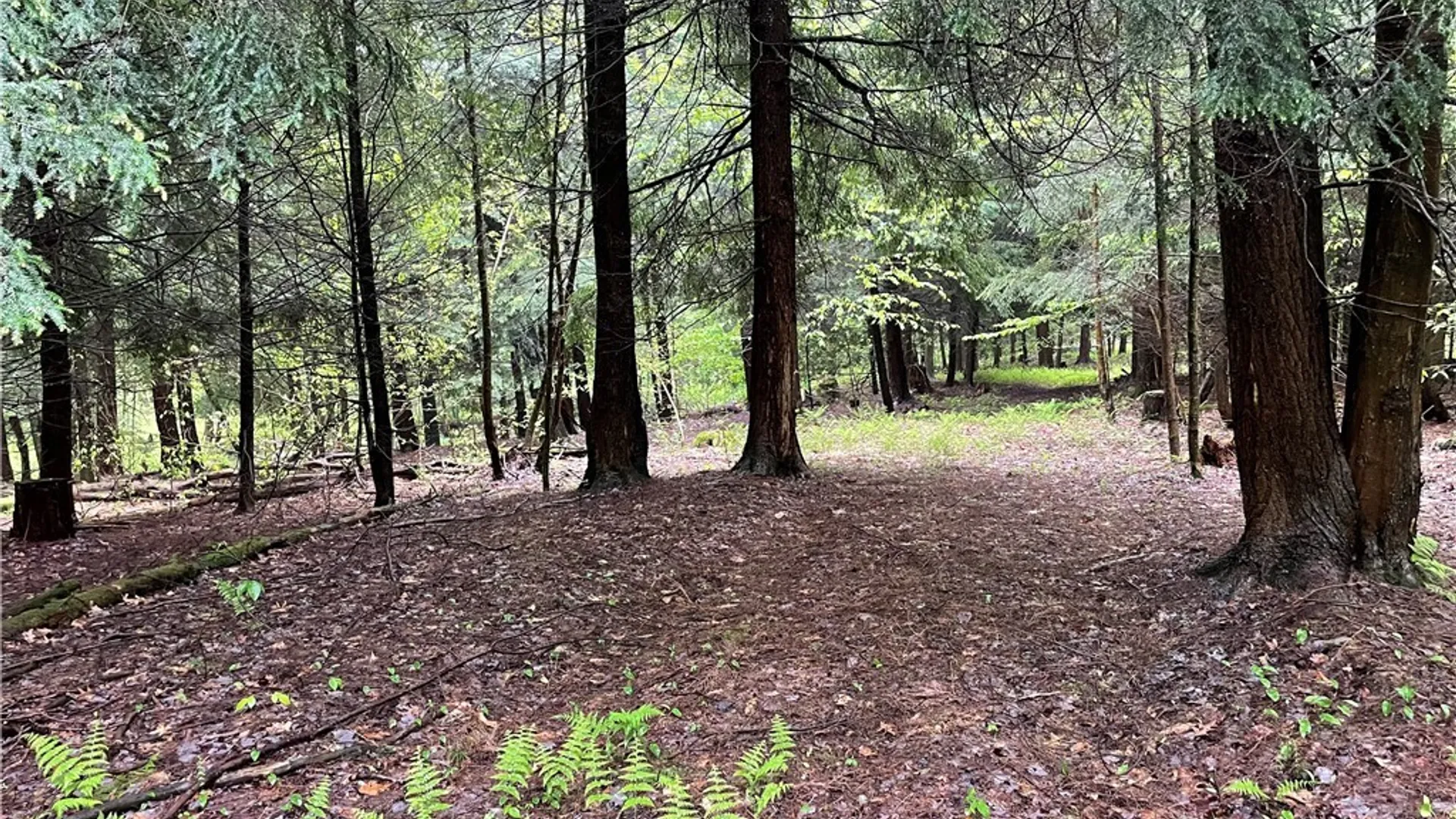 Property at 0 Walker Road, Ellery, NY 14712 9
