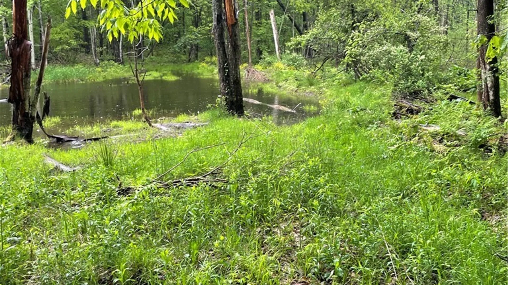 Property at 0 Walker Road, Ellery, NY 14712 18