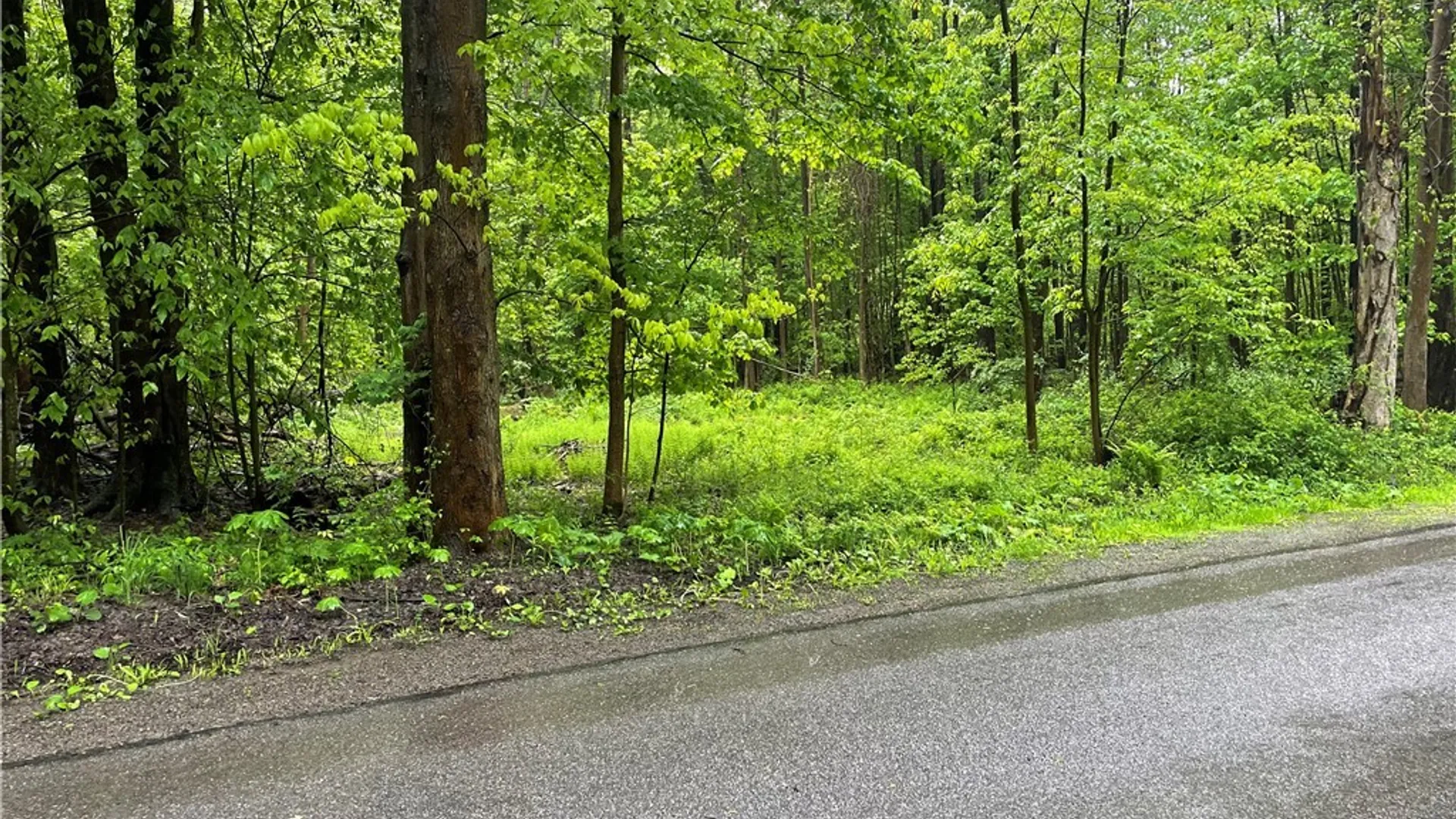 Property at 0 Walker Road, Ellery, NY 14712 13
