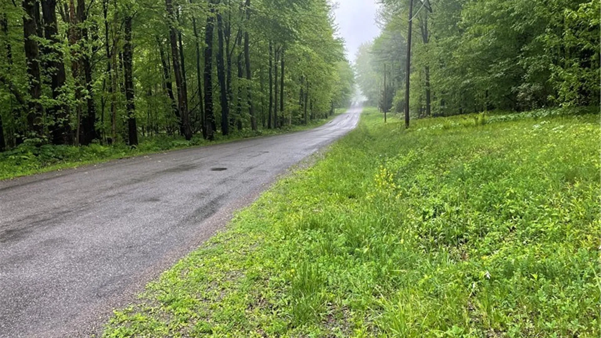 Property at 0 Walker Road, Ellery, NY 14712 24