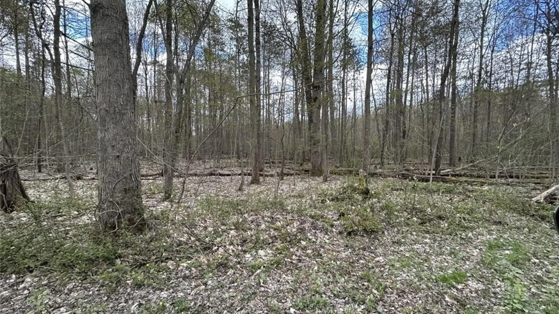 Property at 0 Walker Road, Ellery, NY 14712 17
