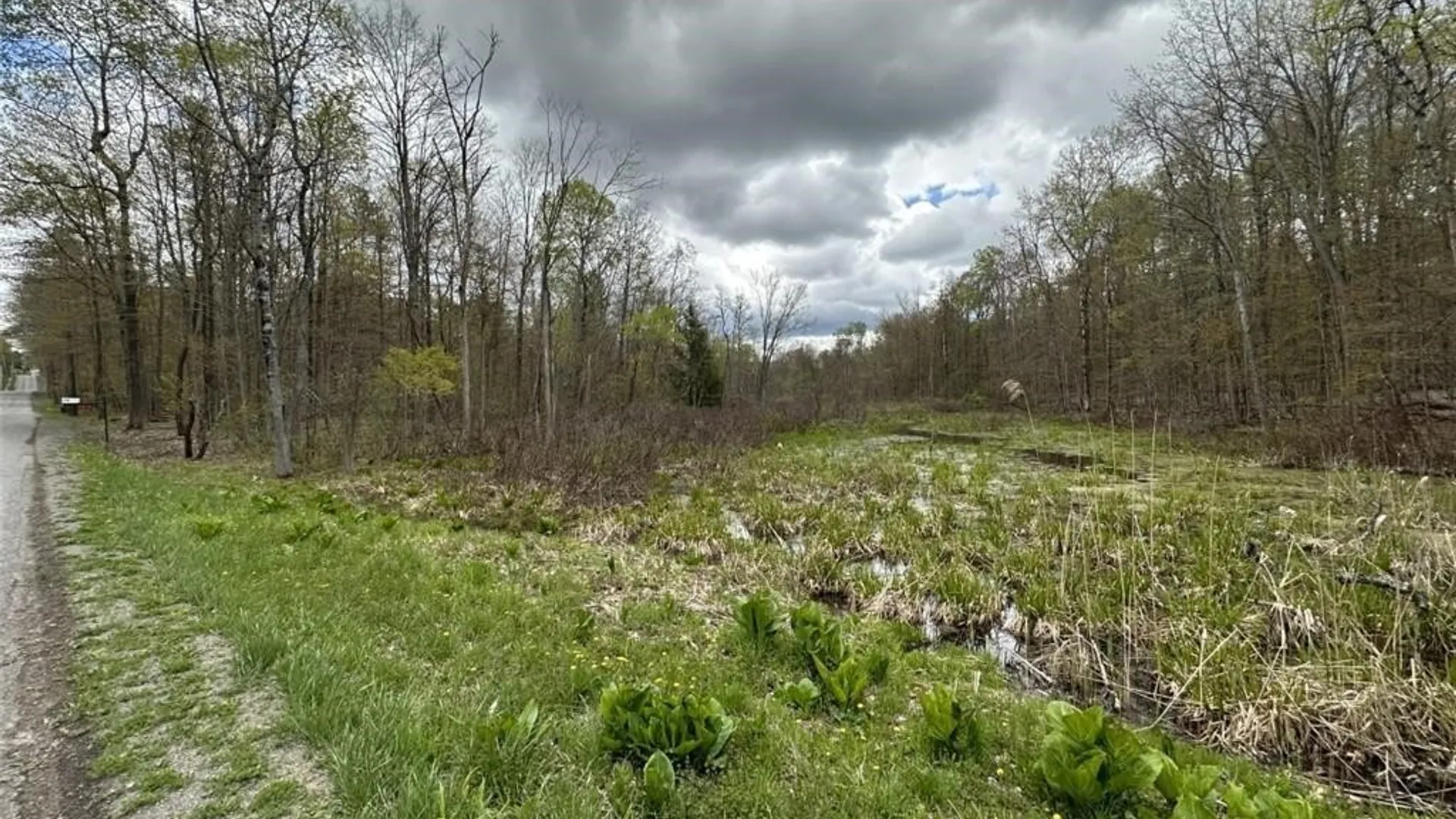 Property at 0 Walker Road, Ellery, NY 14712 16