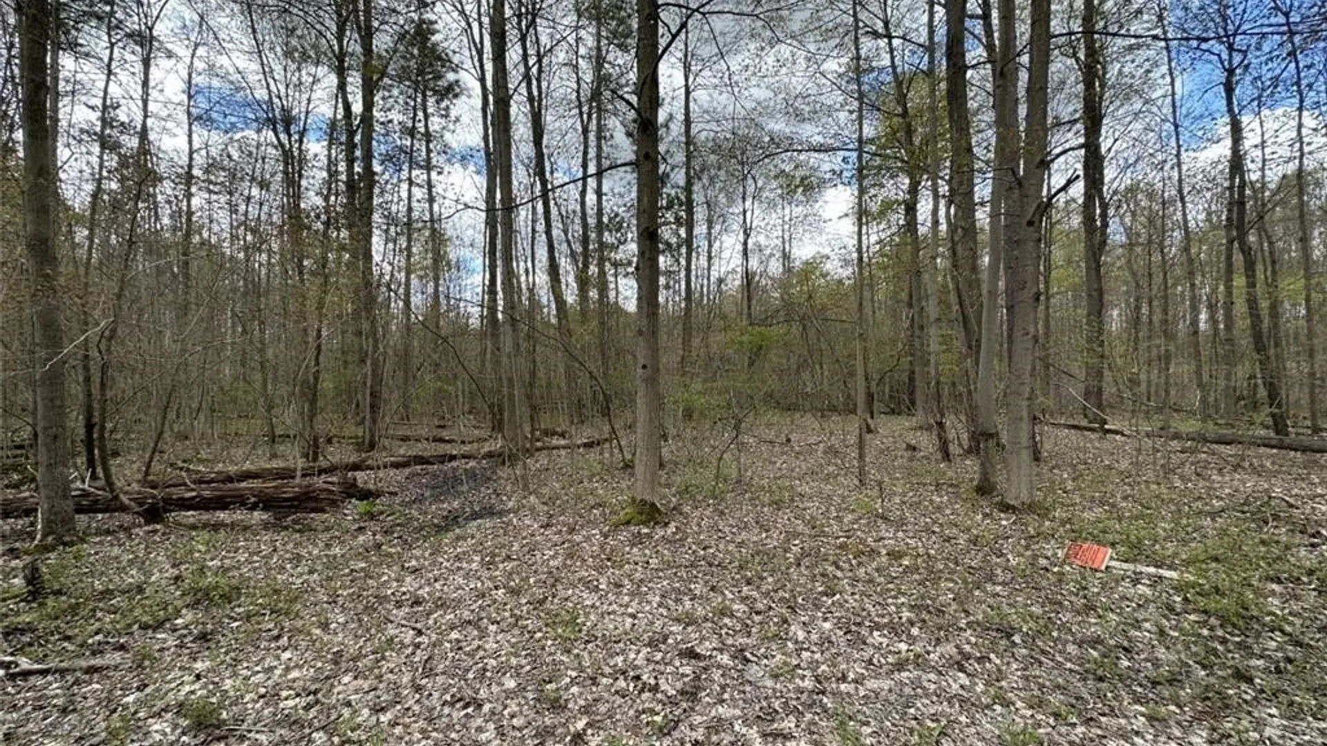 Property at 0 Walker Road, Ellery, NY 14712 15