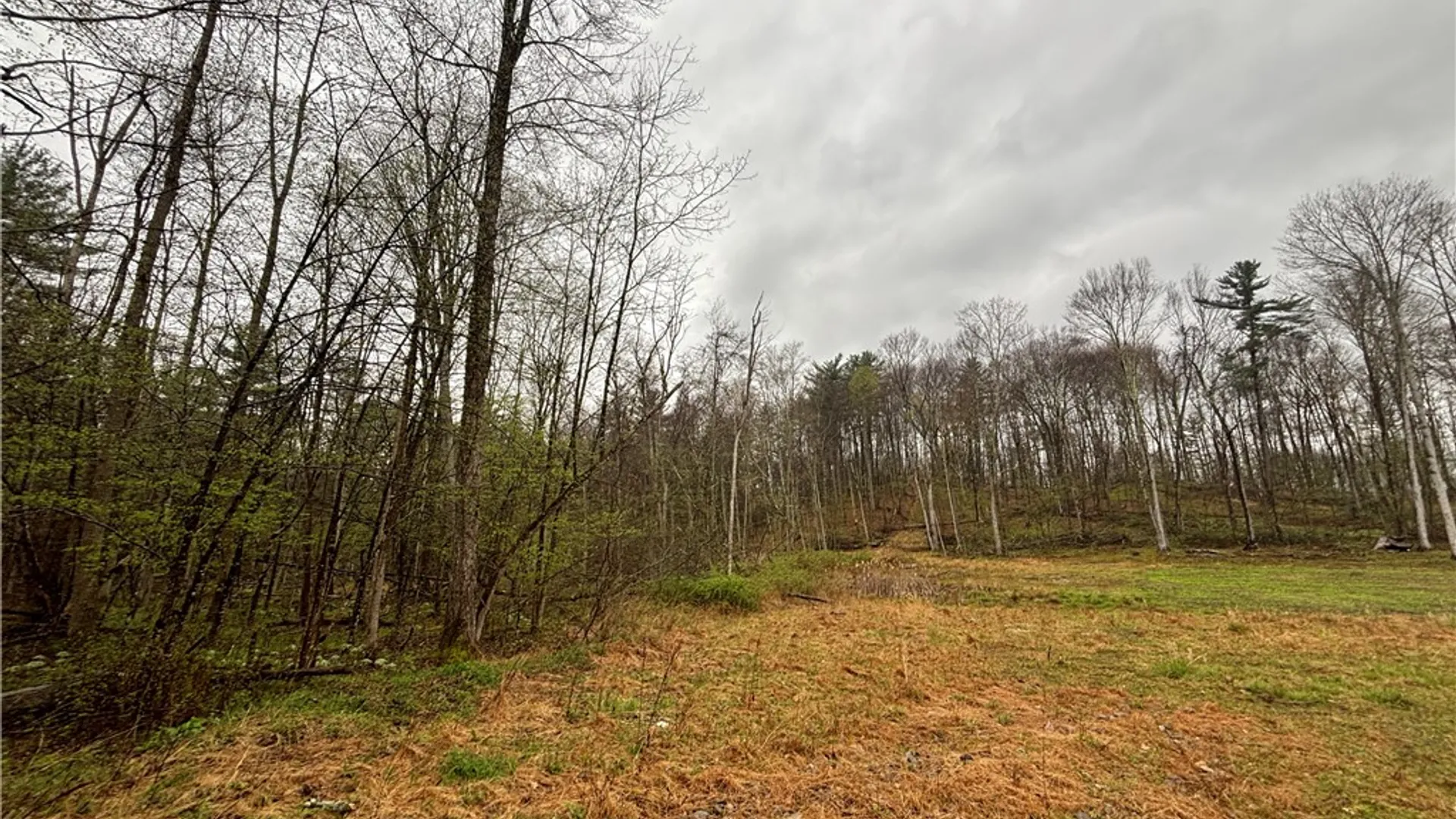 Property at 2093 Scott Road, Erwin, NY 14858 11