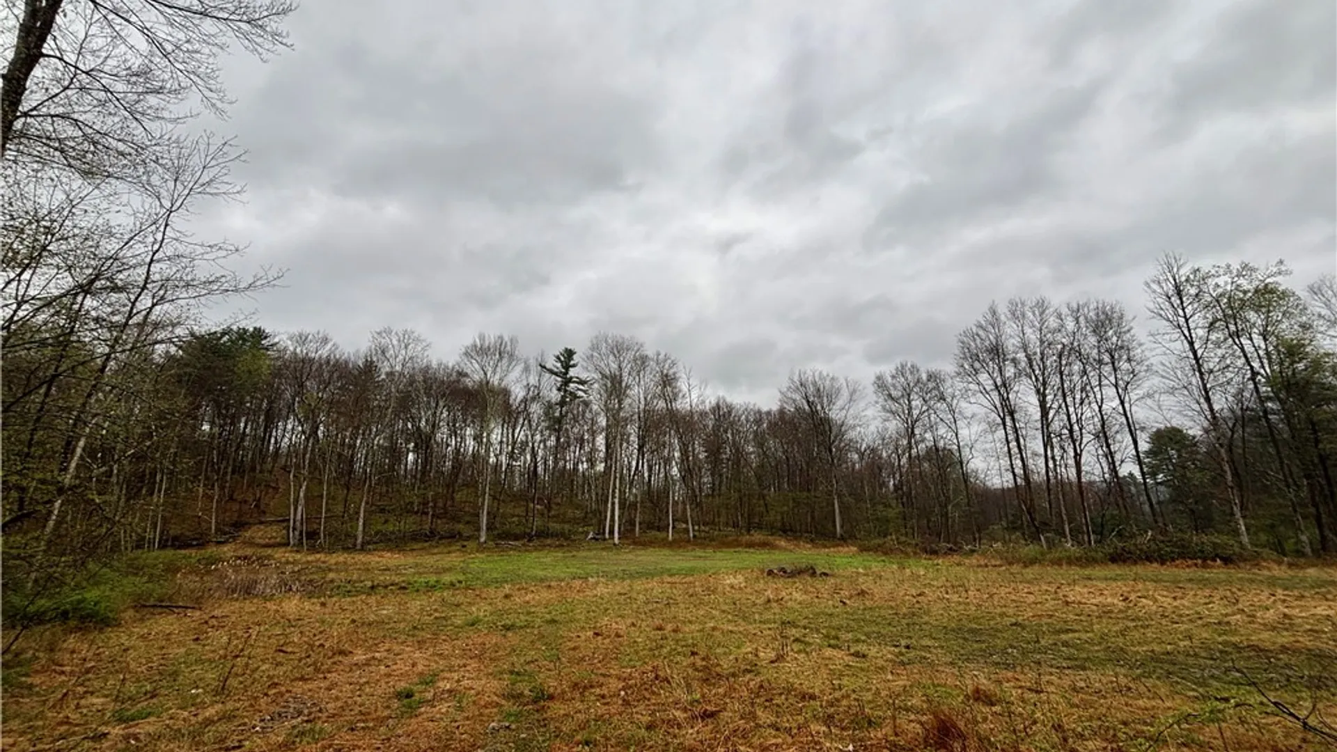 Property at 2093 Scott Road, Erwin, NY 14858 15