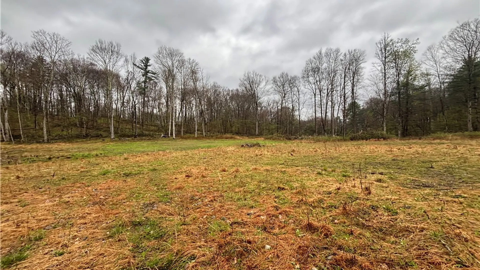 Property at 2093 Scott Road, Erwin, NY 14858 2