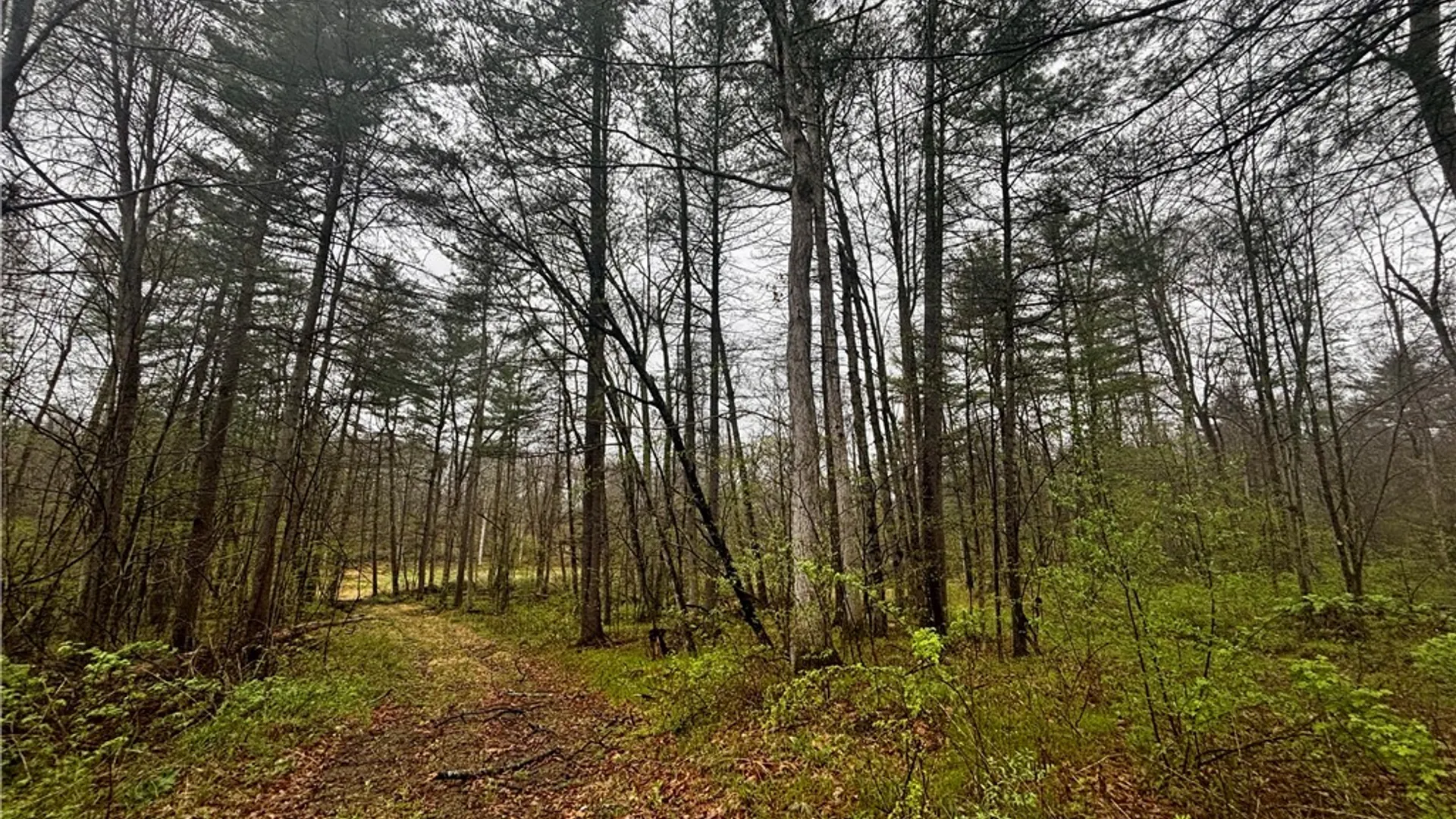 Property at 2093 Scott Road, Erwin, NY 14858 4