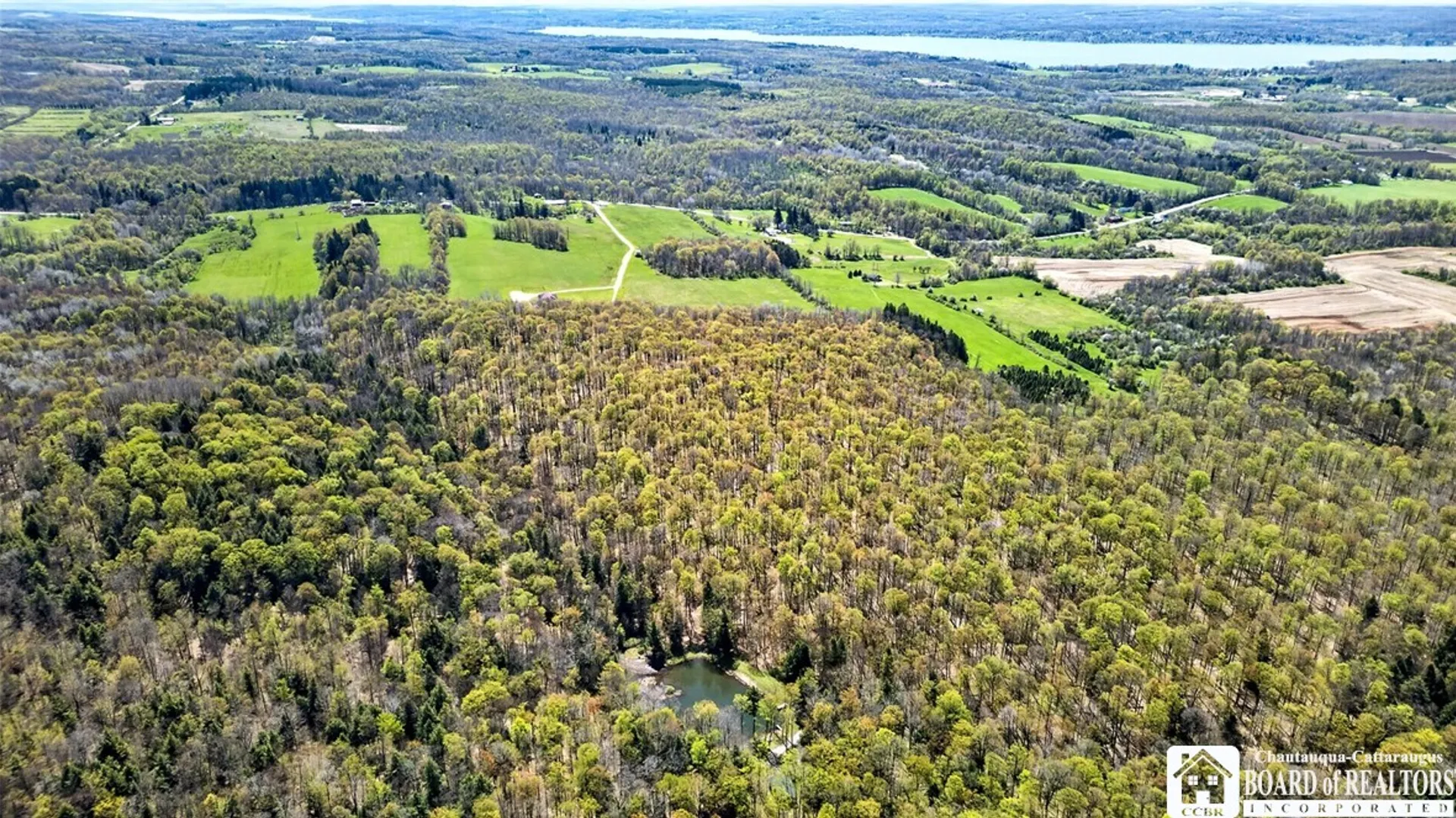 Property at 5328 Centralia Hartfield Road, Stockton, NY 14728 11
