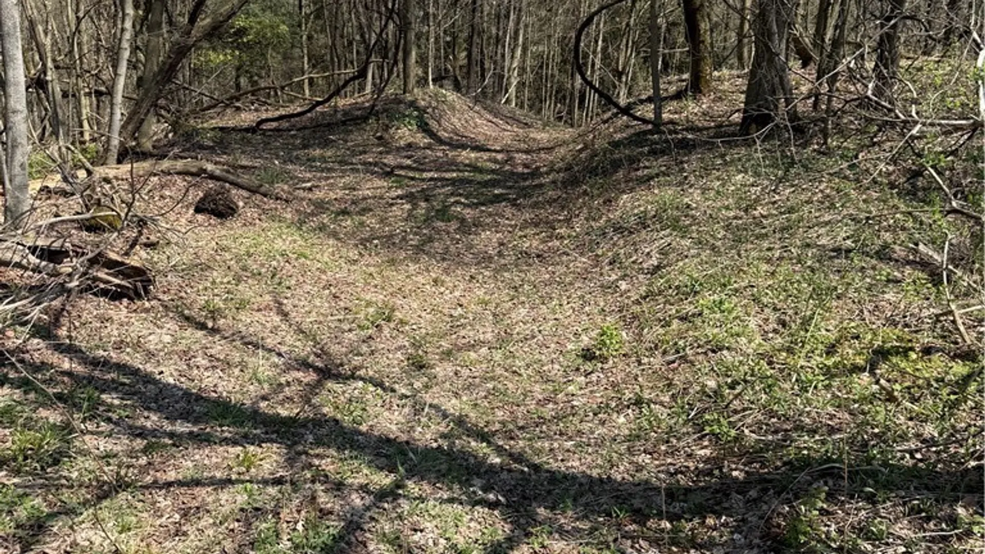 Property at 6437 W Scott Rd, Scott, NY 13077 10