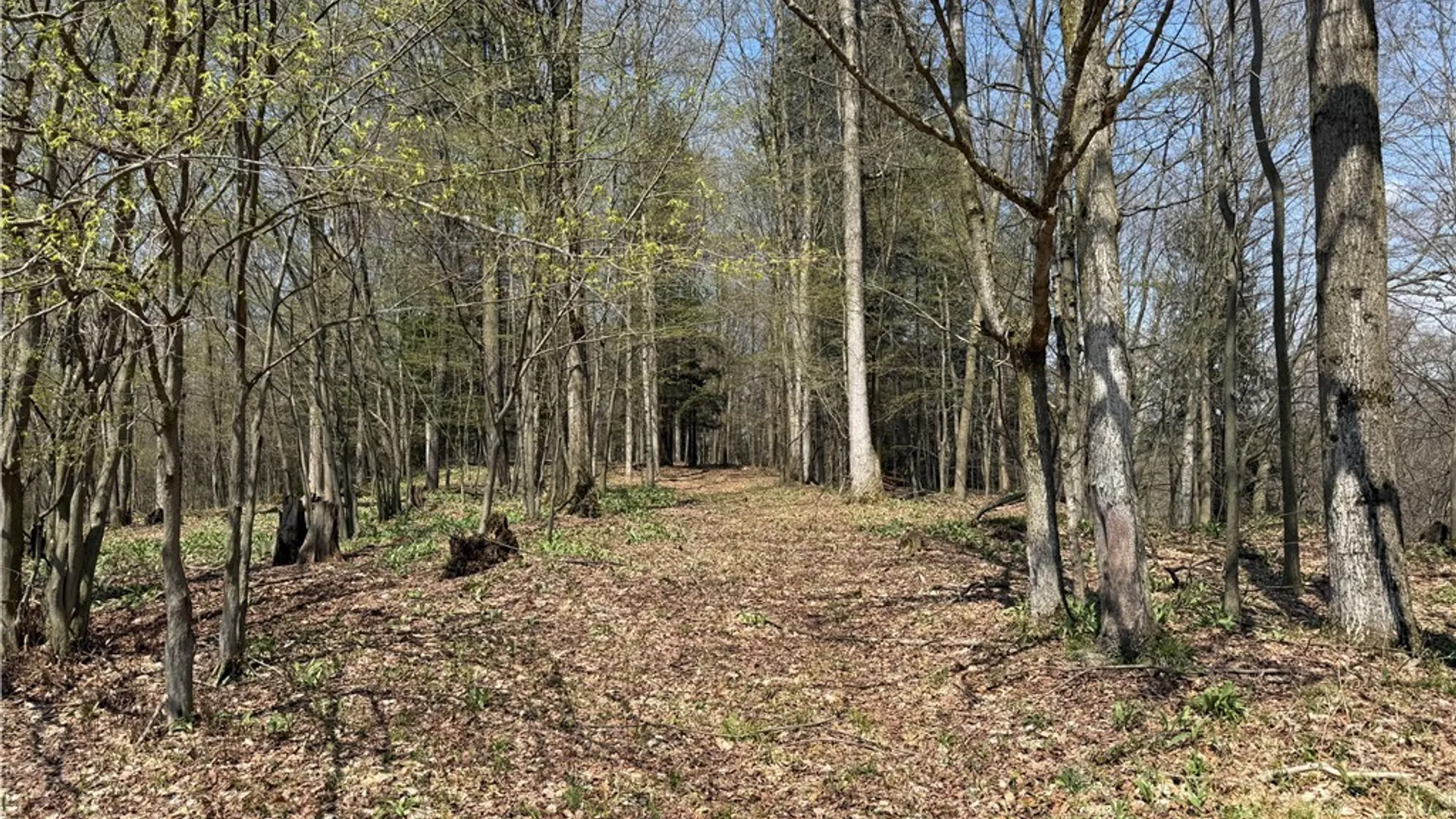 Property at 6437 W Scott Rd, Scott, NY 13077 28