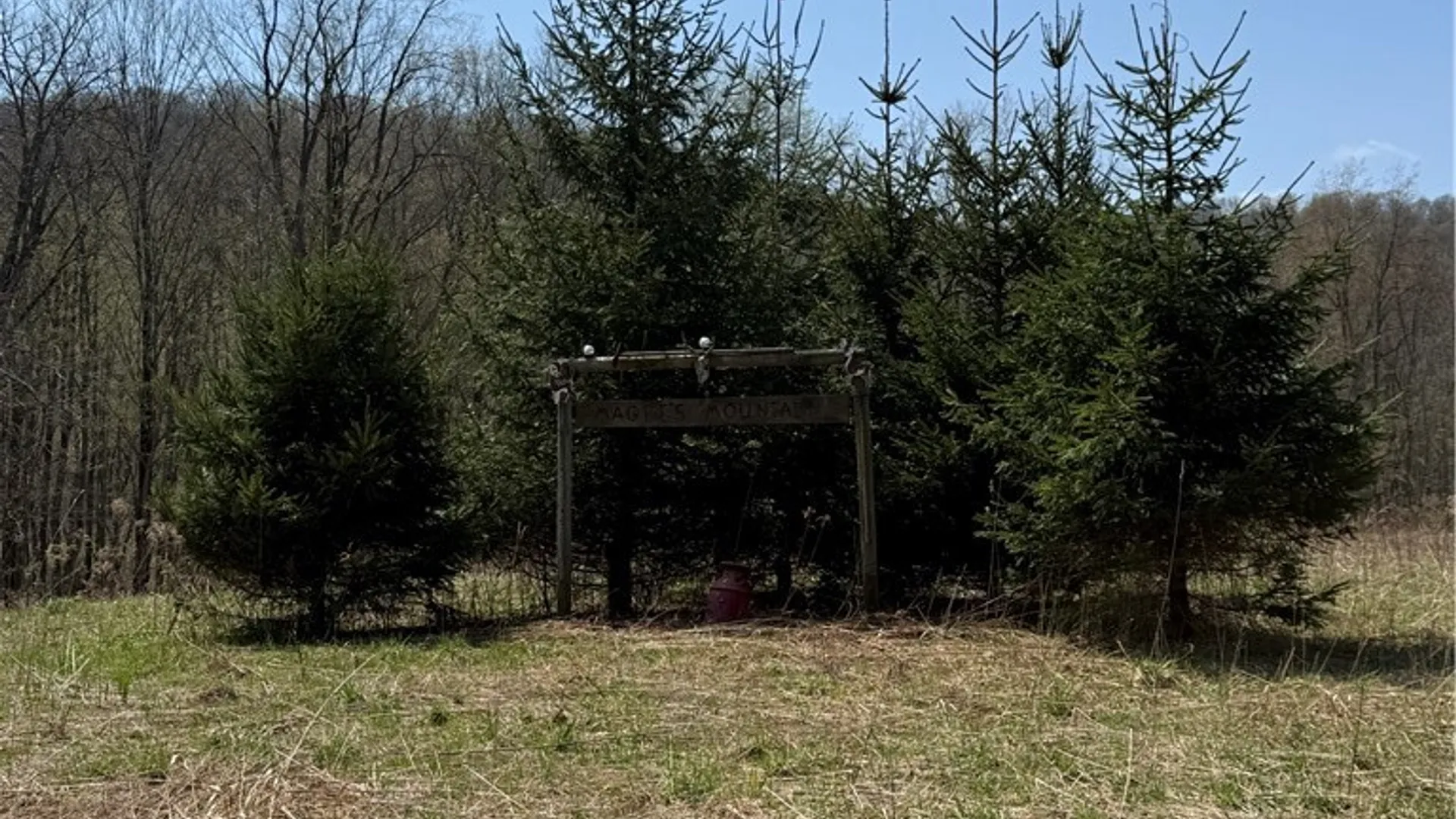 Property at 6437 W Scott Rd, Scott, NY 13077 9