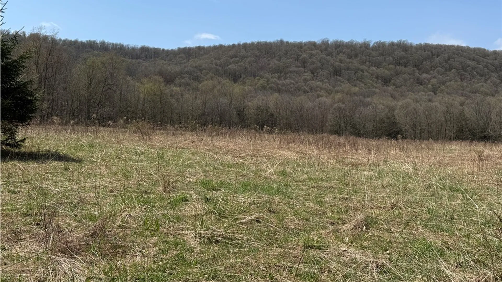Property at 6437 W Scott Rd, Scott, NY 13077 29