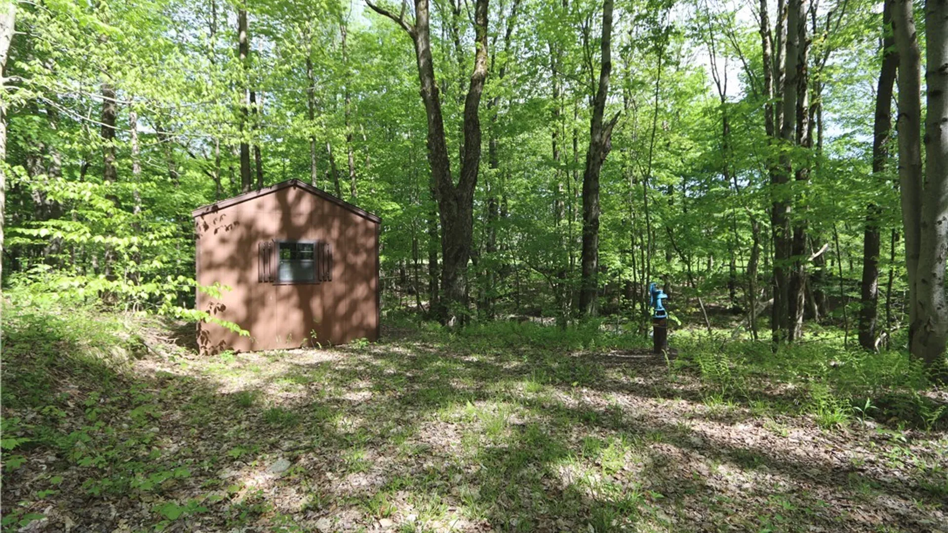 Property at 175 Bremm Road, Boylston, NY 13083 17