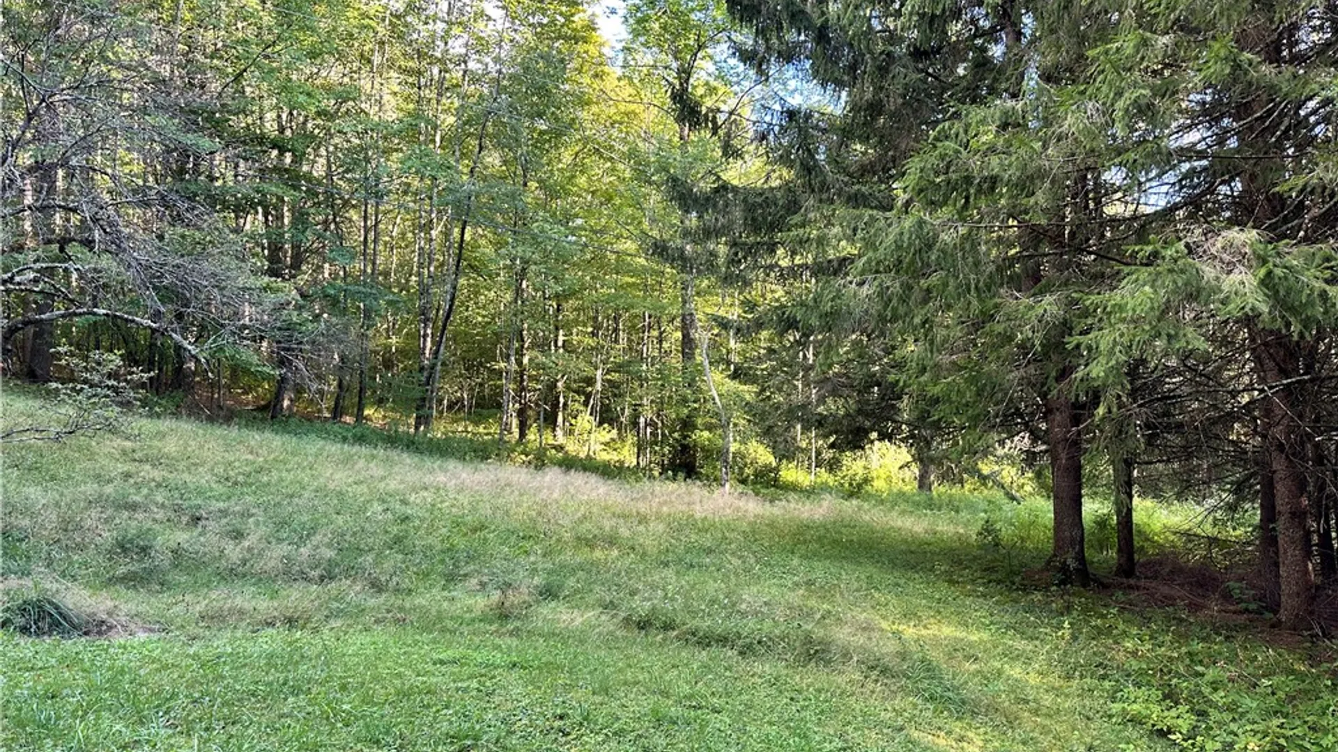 Property at 2068 Huntley Hollow Road, Colchester, NY 13755 41