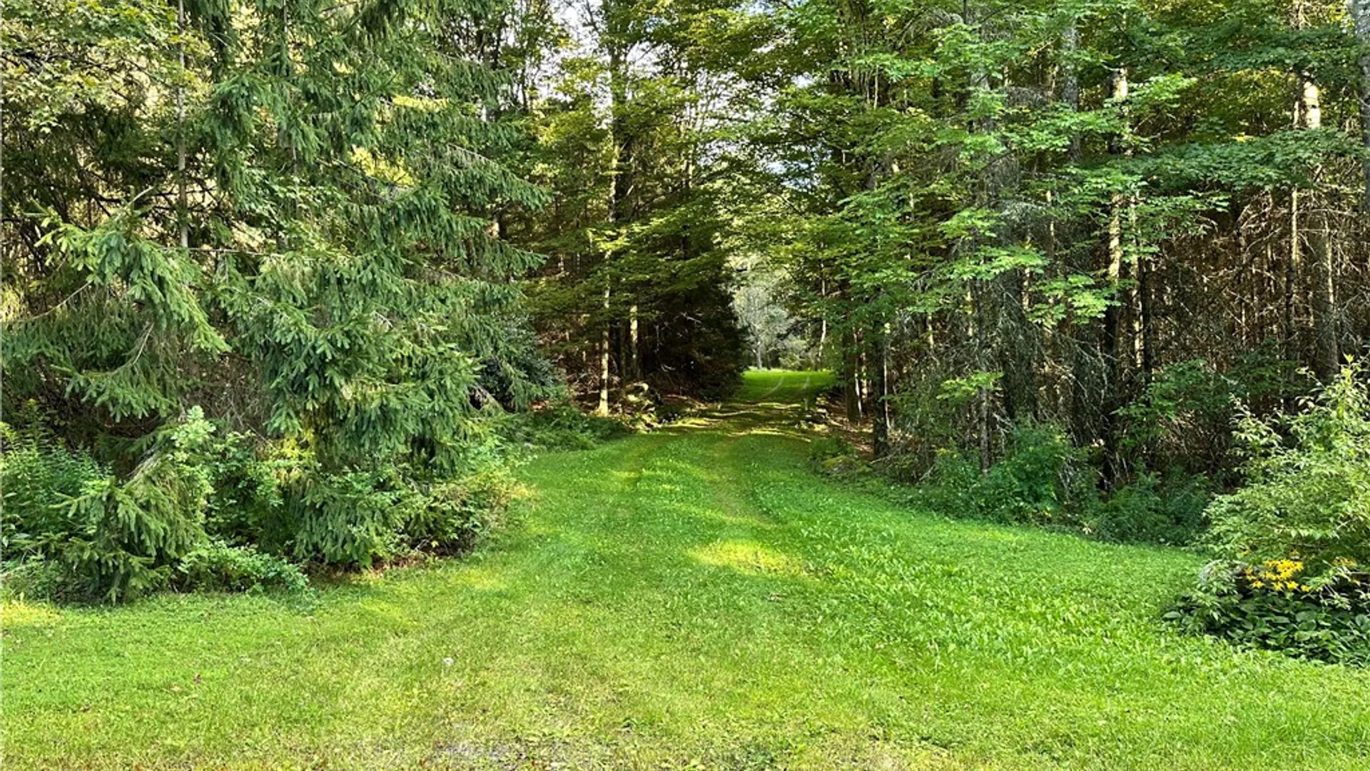 Property at 2068 Huntley Hollow Road, Colchester, NY 13755 43