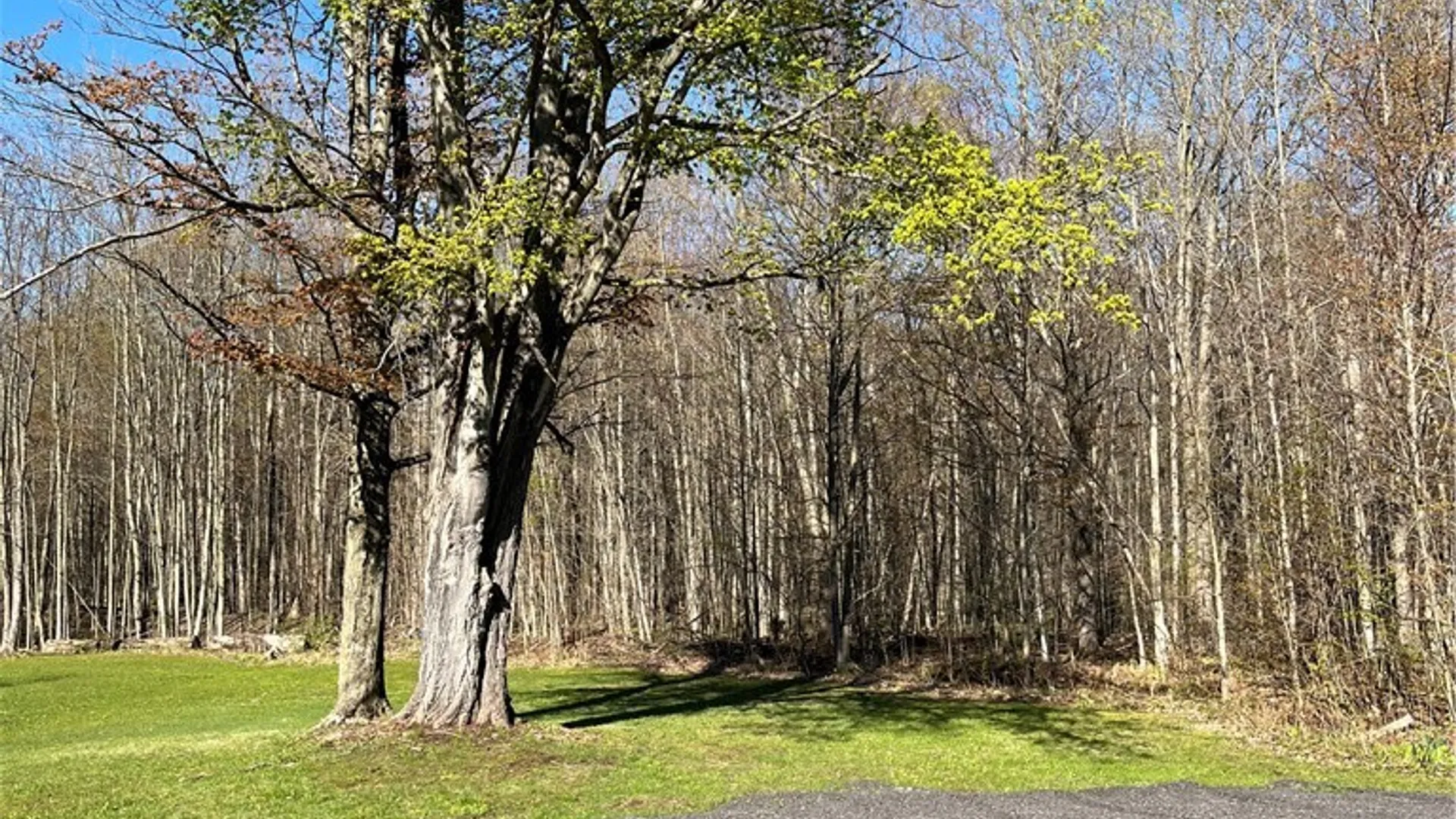 Property at 12920 Upton Road, Victory, NY 13143 4