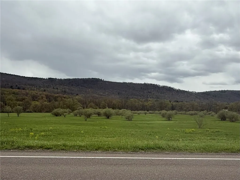 Property at 00 County Rte 64, Big Flats, NY 14814