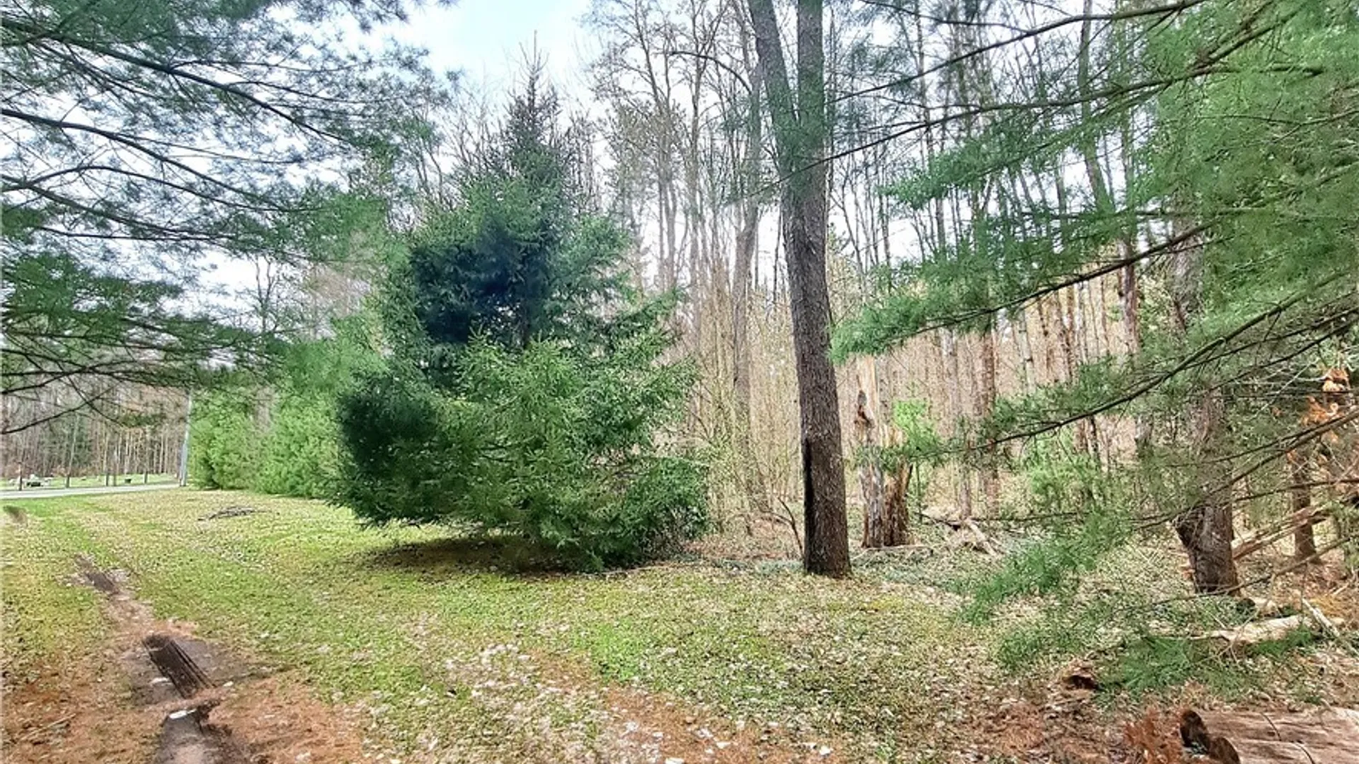 Property at 9636 Steam Mill Road, Camden, NY 13316 11