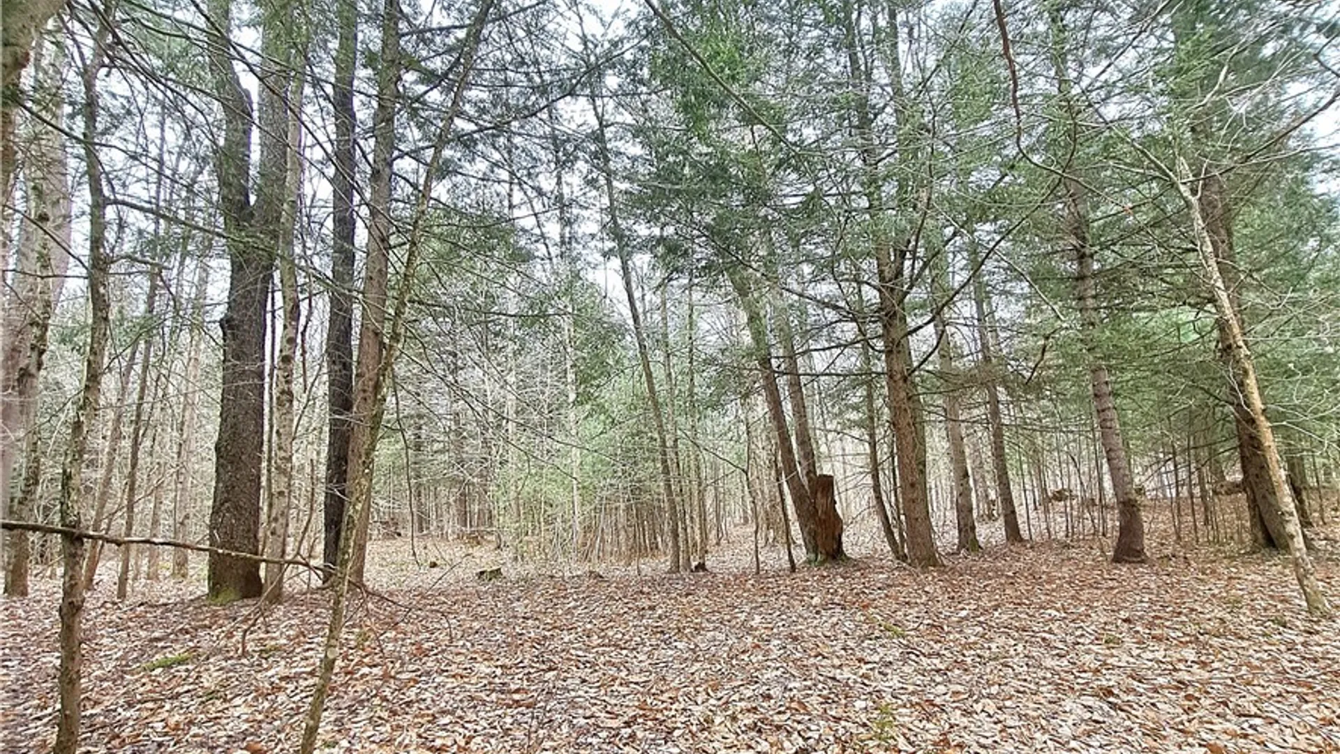 Property at 9636 Steam Mill Road, Camden, NY 13316 17