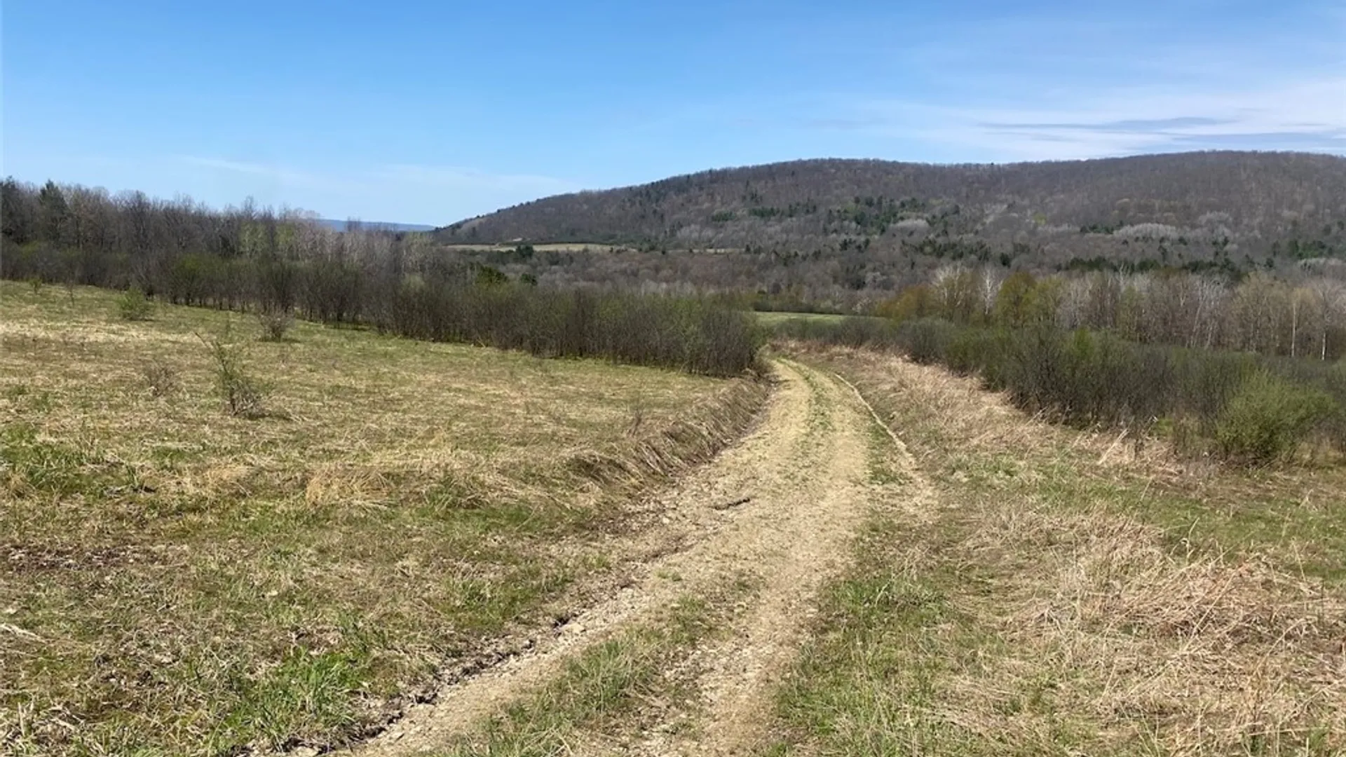 Property at 3827 Vandermark Road, Scio, NY 14880 32