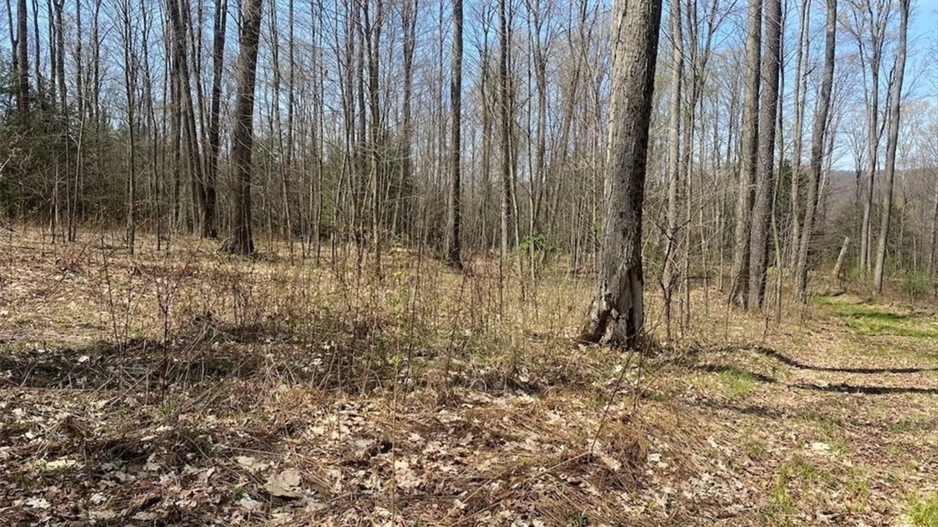 Property at 3827 Vandermark Road, Scio, NY 14880 34