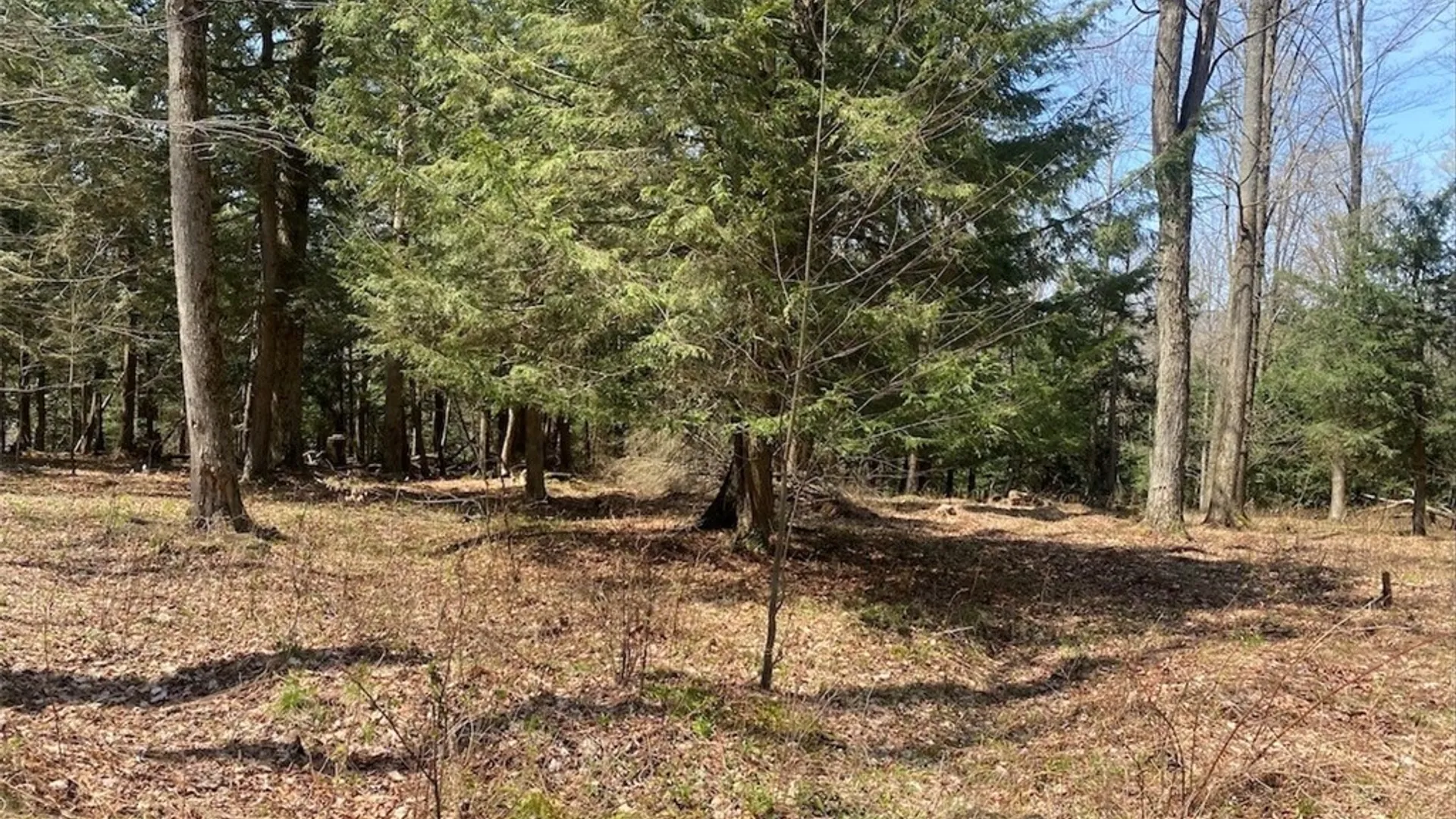 Property at 3827 Vandermark Road, Scio, NY 14880 35