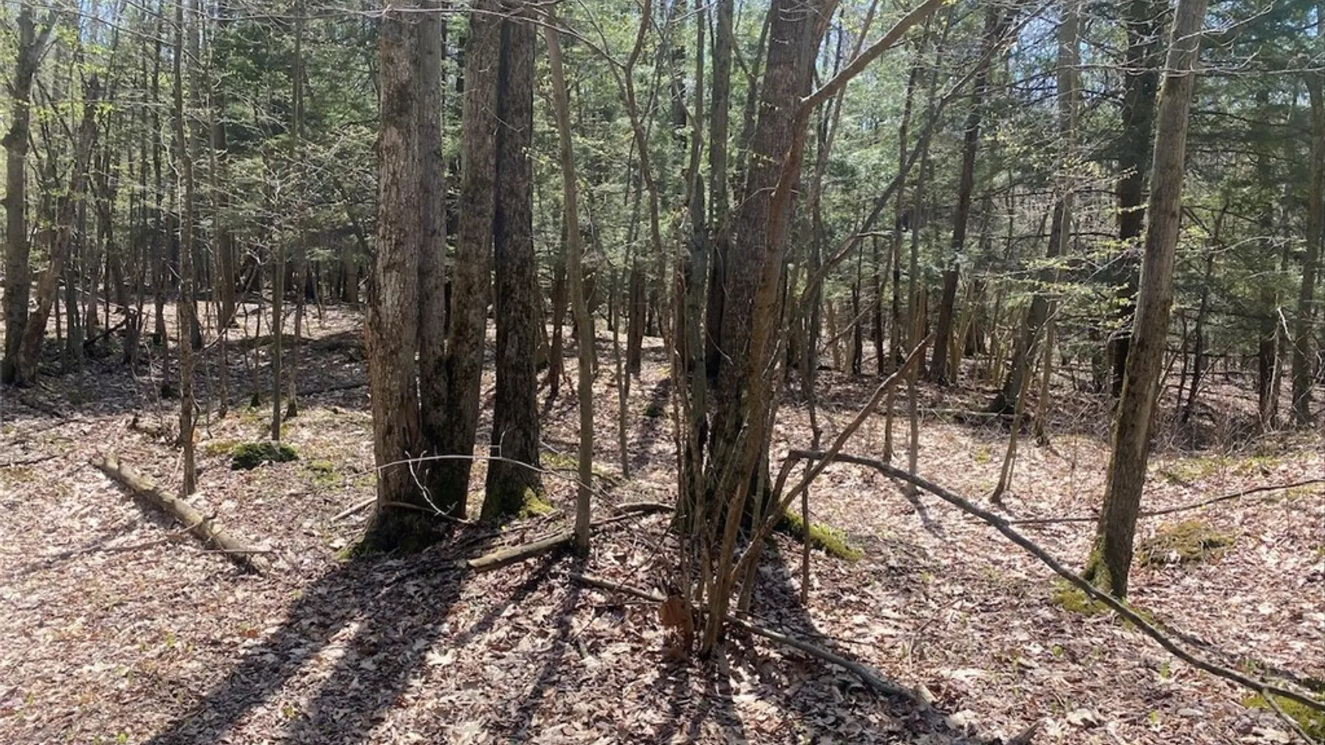 Property at 3827 Vandermark Road, Scio, NY 14880 38