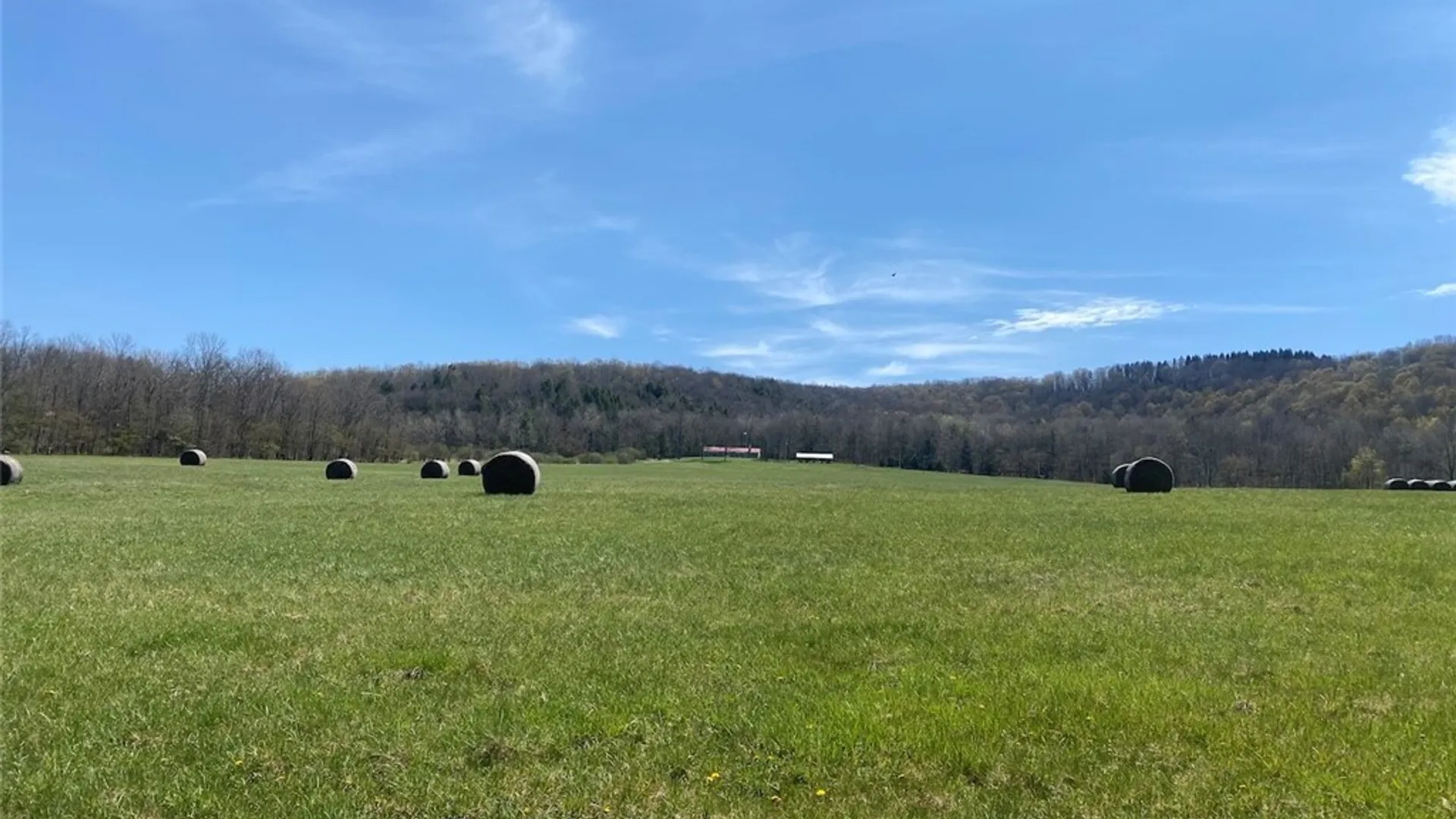 Property at 3827 Vandermark Road, Scio, NY 14880 28