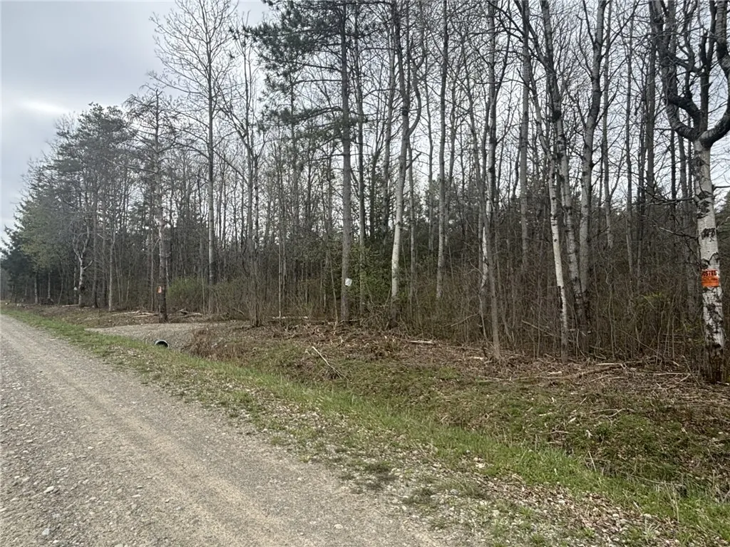 Property at VL Wagner Road, Dansville, NY 14437