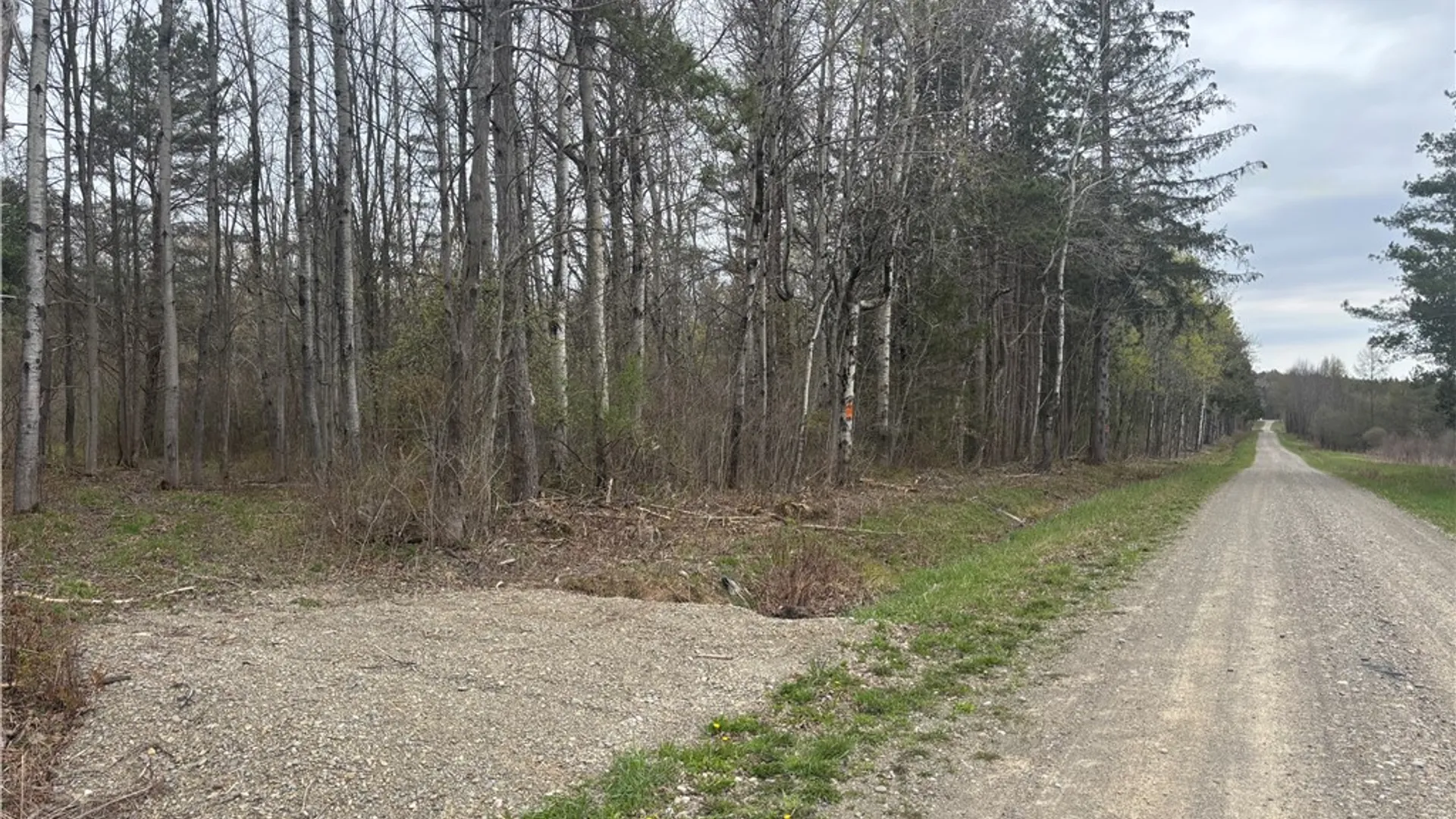 Property at VL Wagner Road, Dansville, NY 14437 3