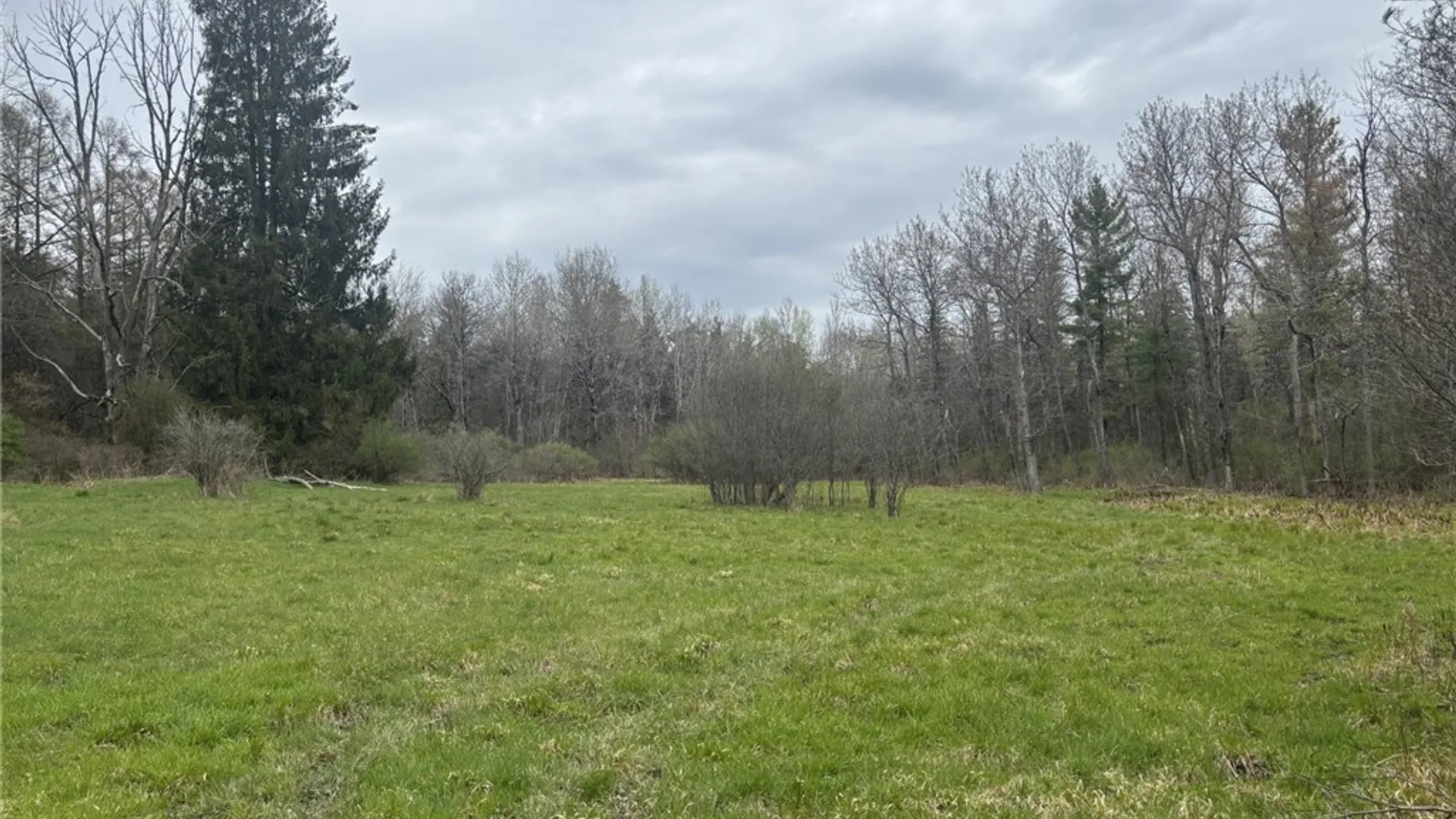 Property at VL Wagner Road, Dansville, NY 14437 4