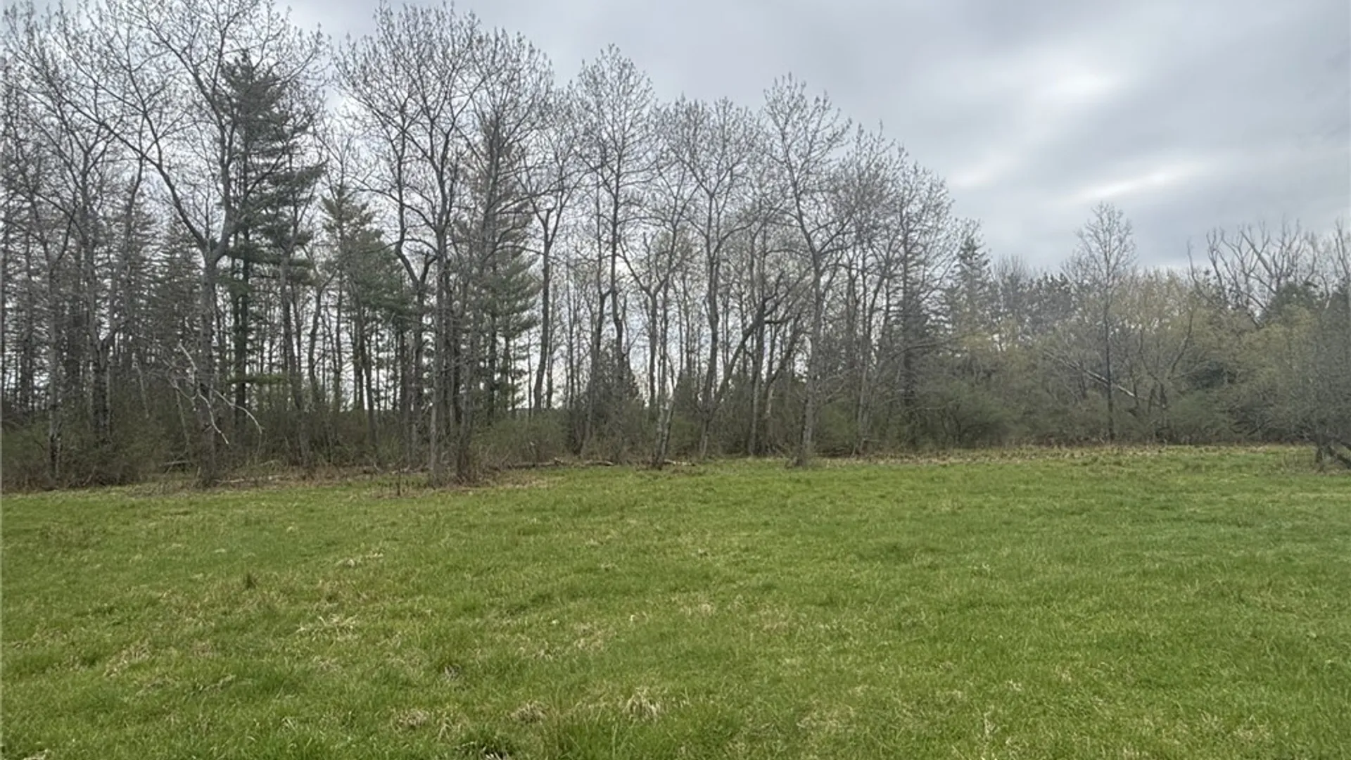 Property at VL Wagner Road, Dansville, NY 14437 6