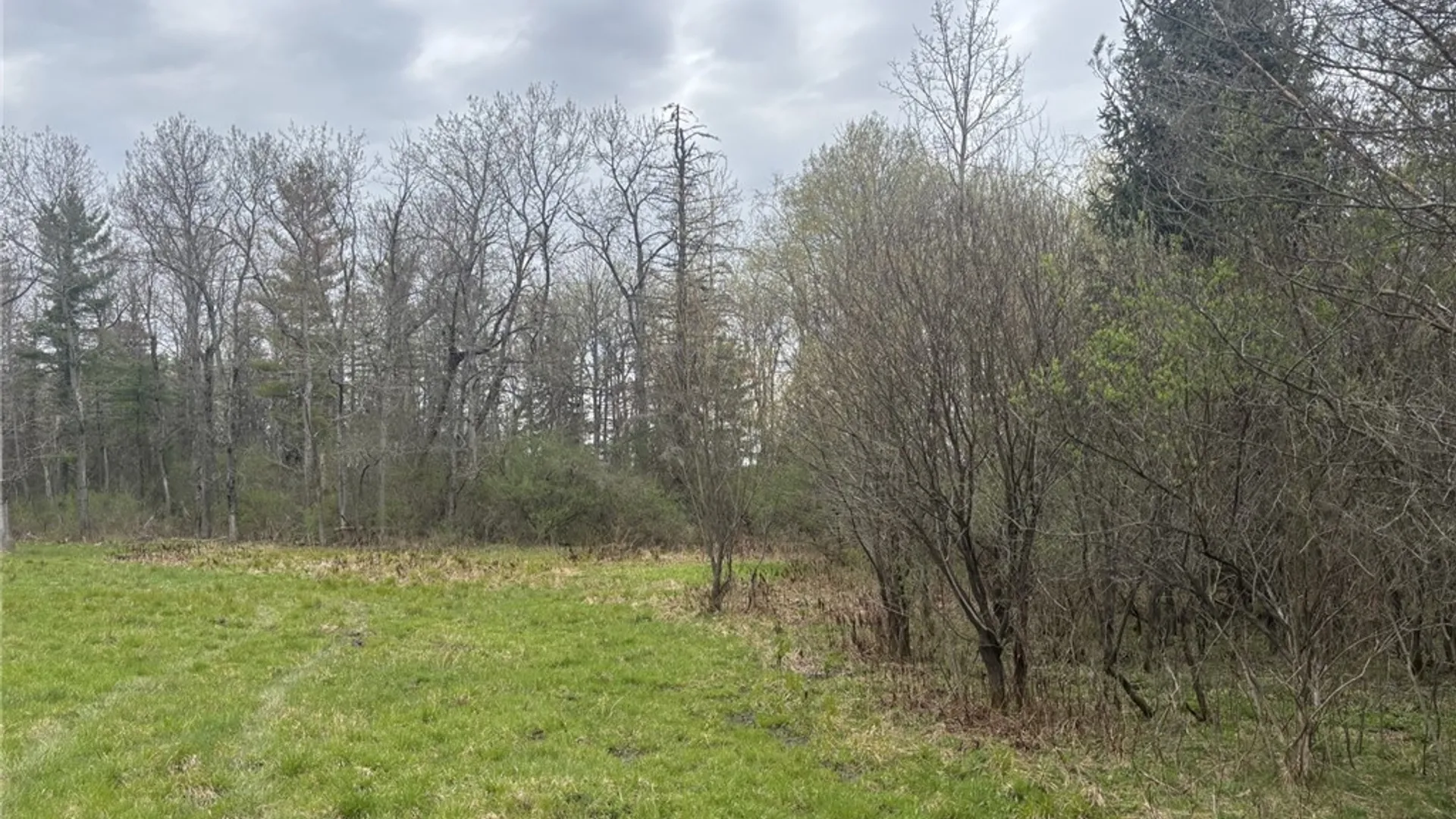 Property at VL Wagner Road, Dansville, NY 14437 8
