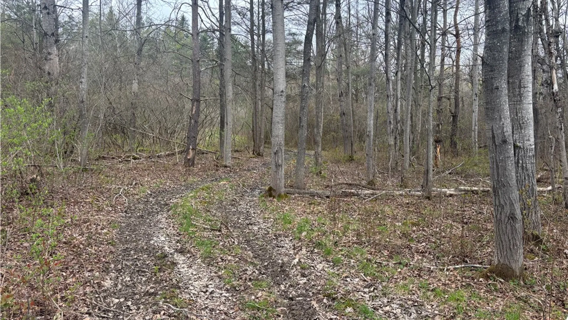 Property at VL Wagner Road, Dansville, NY 14437 9