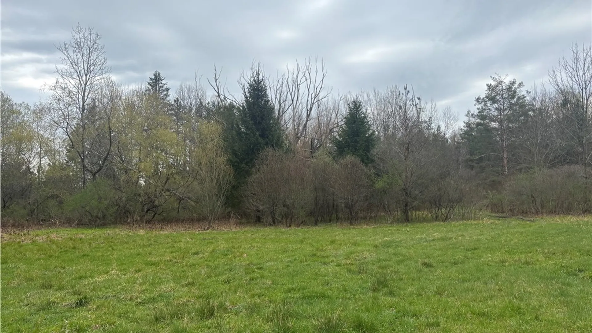 Property at VL Wagner Road, Dansville, NY 14437 5