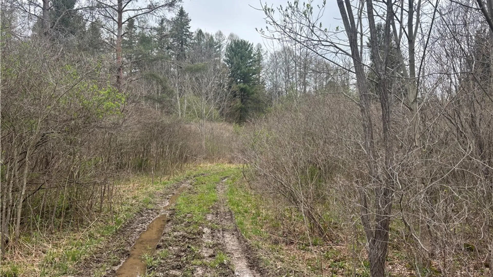 Property at VL Wagner Road, Dansville, NY 14437 10
