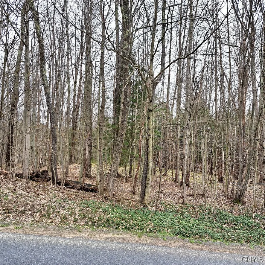 Property at Steam Mill Road, Camden, NY 13316