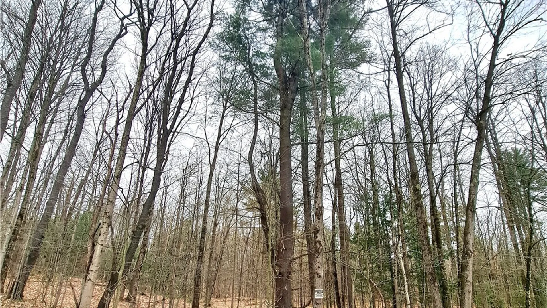 Property at Steam Mill Road, Camden, NY 13316 6