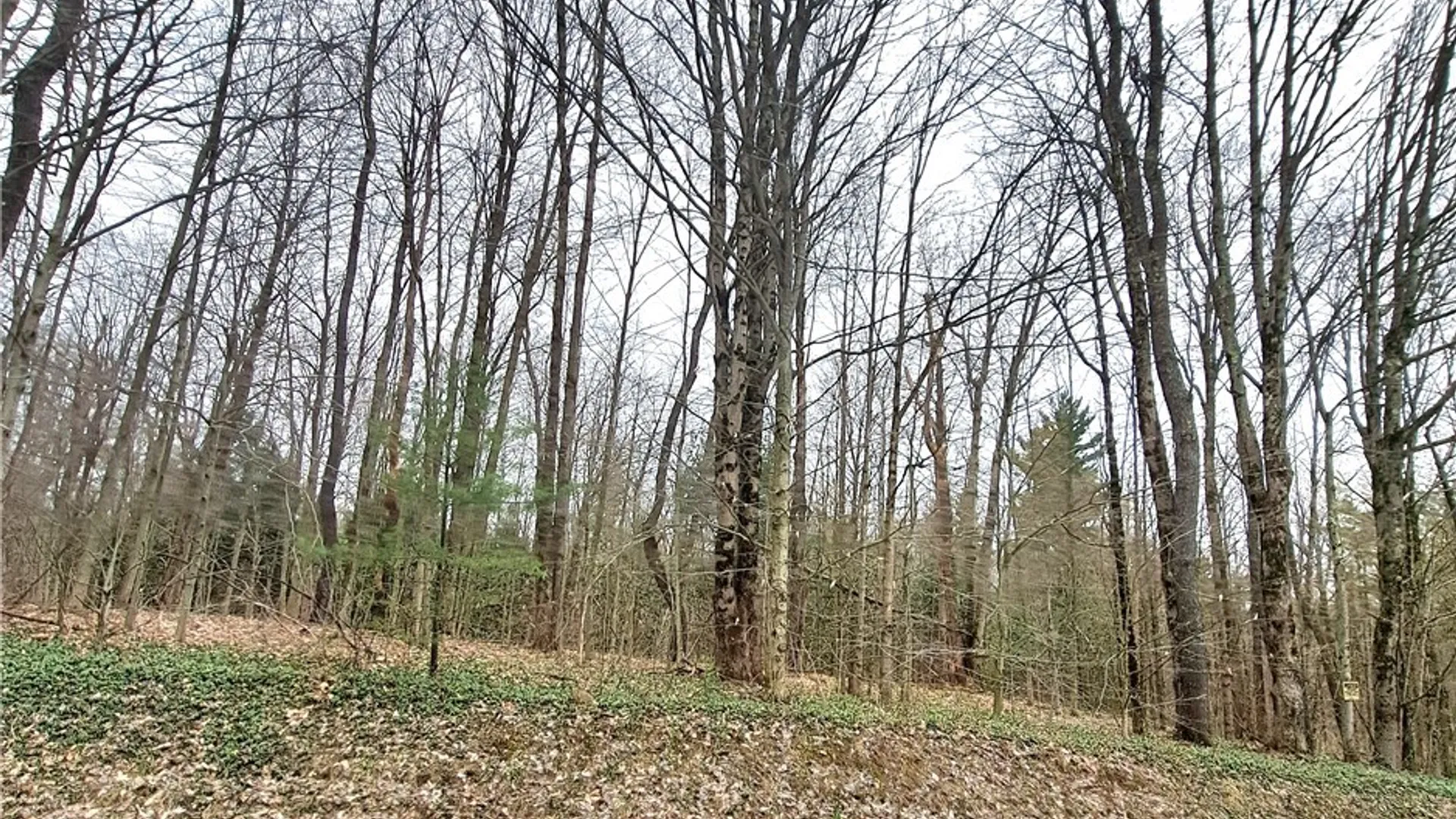 Property at Steam Mill Road, Camden, NY 13316 7