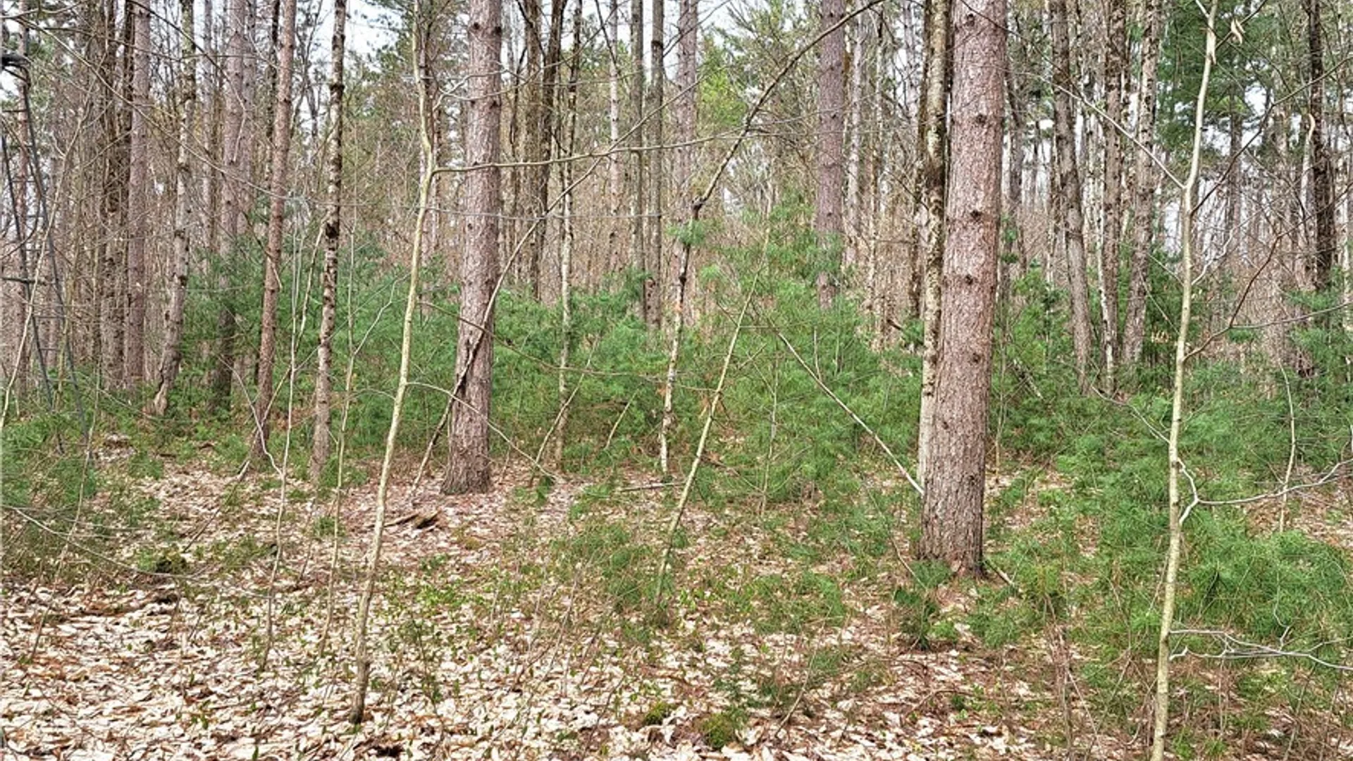 Property at Steam Mill Road, Camden, NY 13316 13