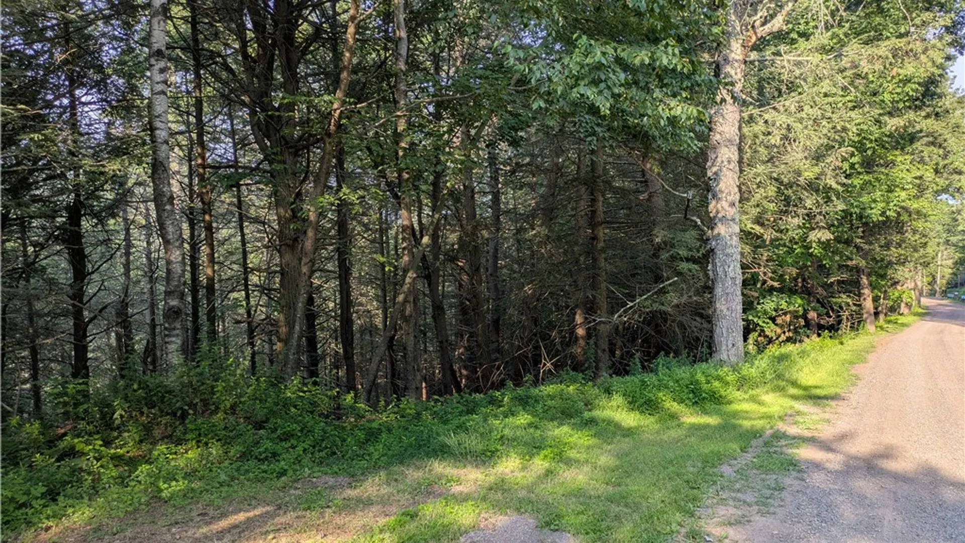 Property at Lot 29 Peters Lane, Gilboa, NY 12076 3