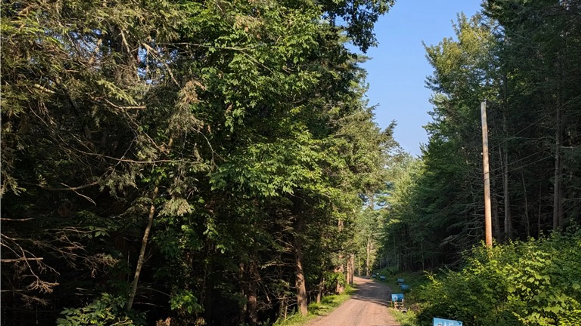 Property at Lot 29 Peters Lane, Gilboa, NY 12076 4