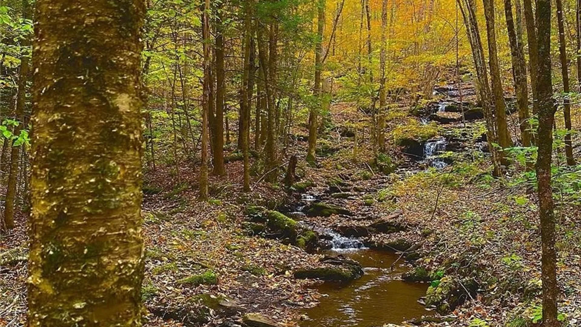 Property at Bragg Hollow Road, Middletown, NY 12455 9