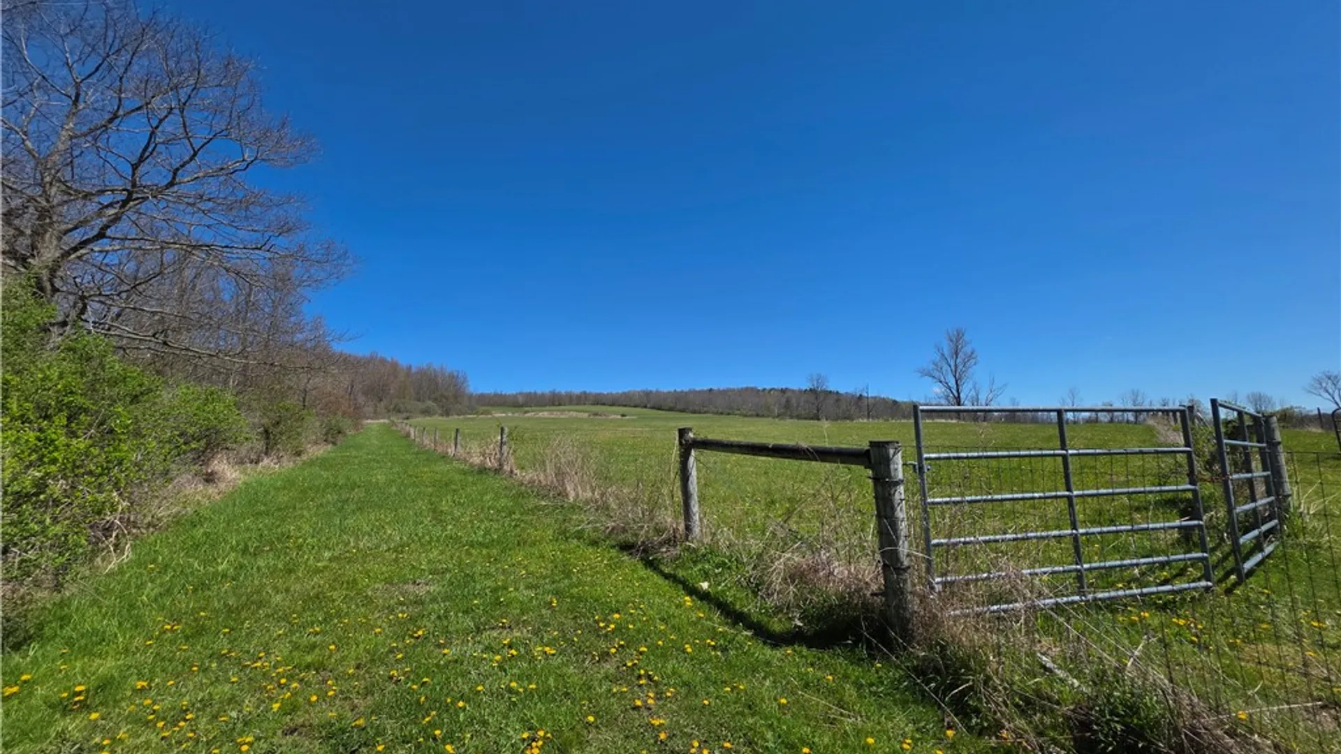 Property at 4601 County Route 82, Woodhull, NY 14898 41
