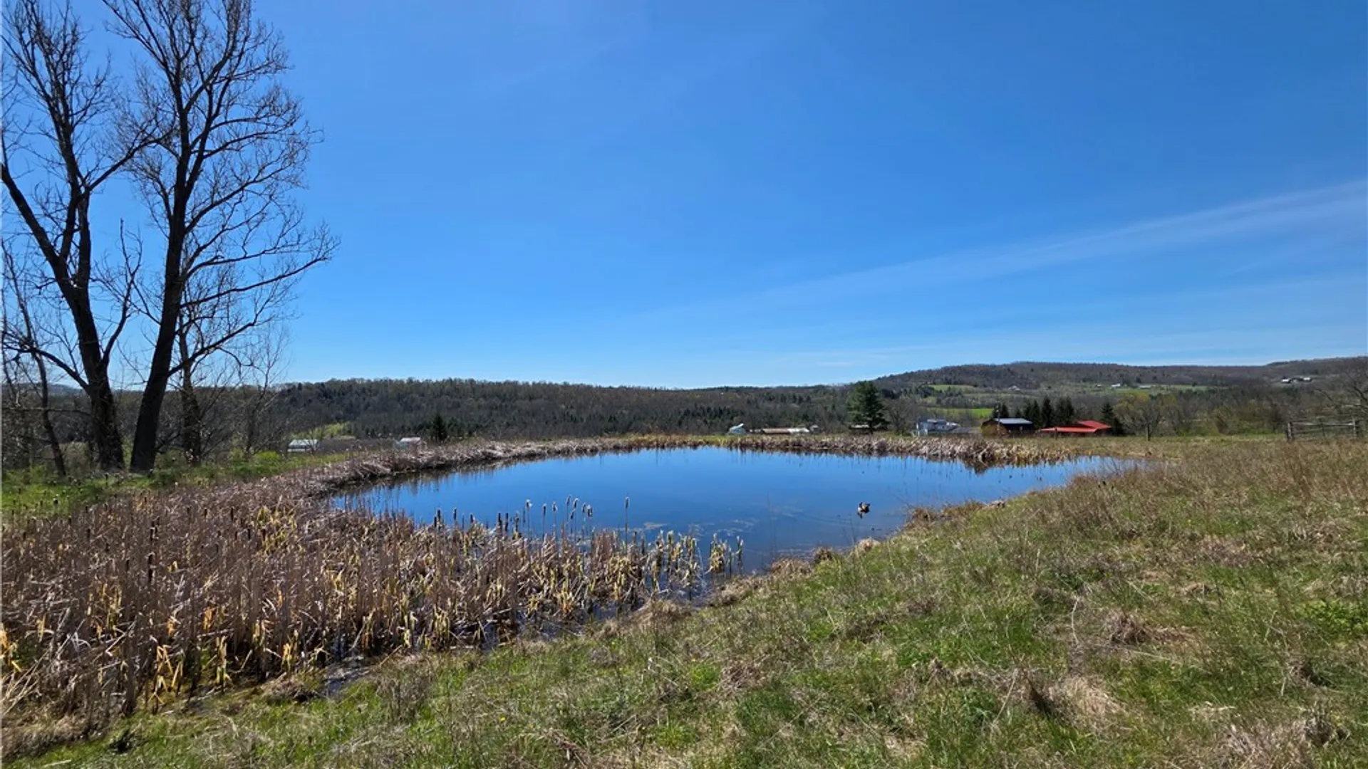 Property at 4601 County Route 82, Woodhull, NY 14898 43