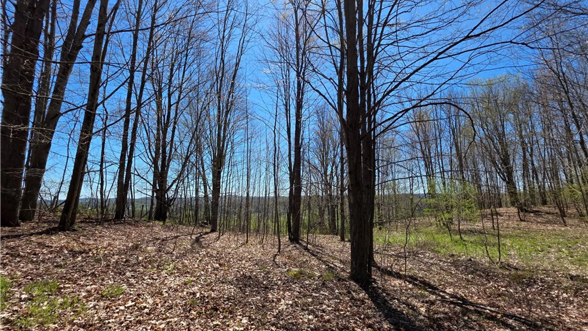 Property at 4601 County Route 82, Woodhull, NY 14898 46
