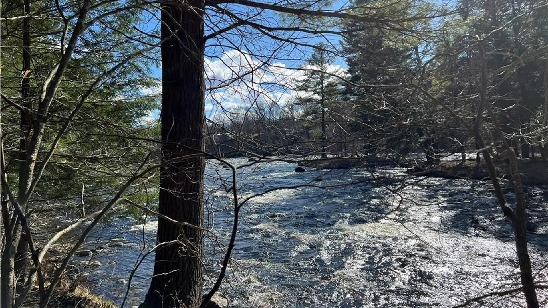 Property at 3153 Pines Road, Boonville, NY 13309 3